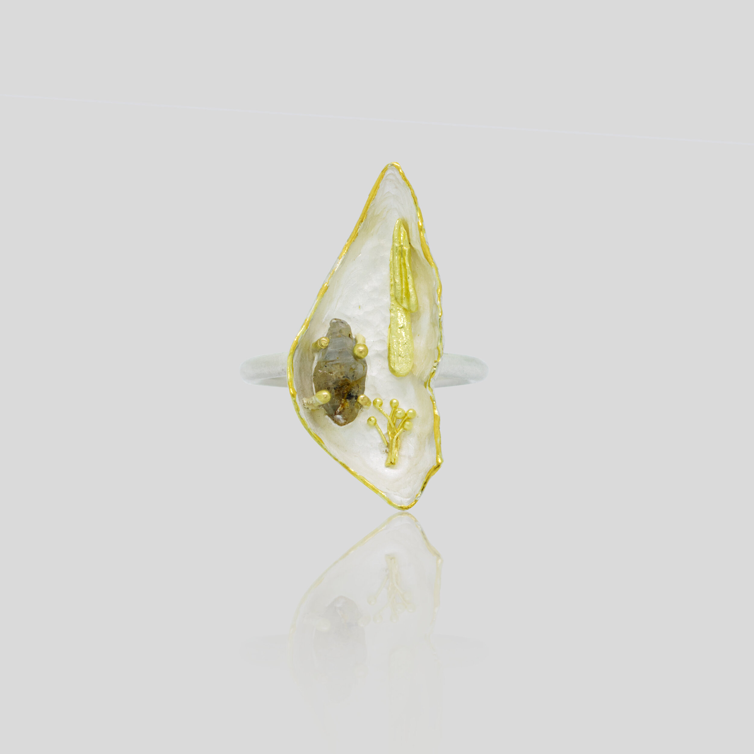 Wunderkammer Ring_Flat.jpg