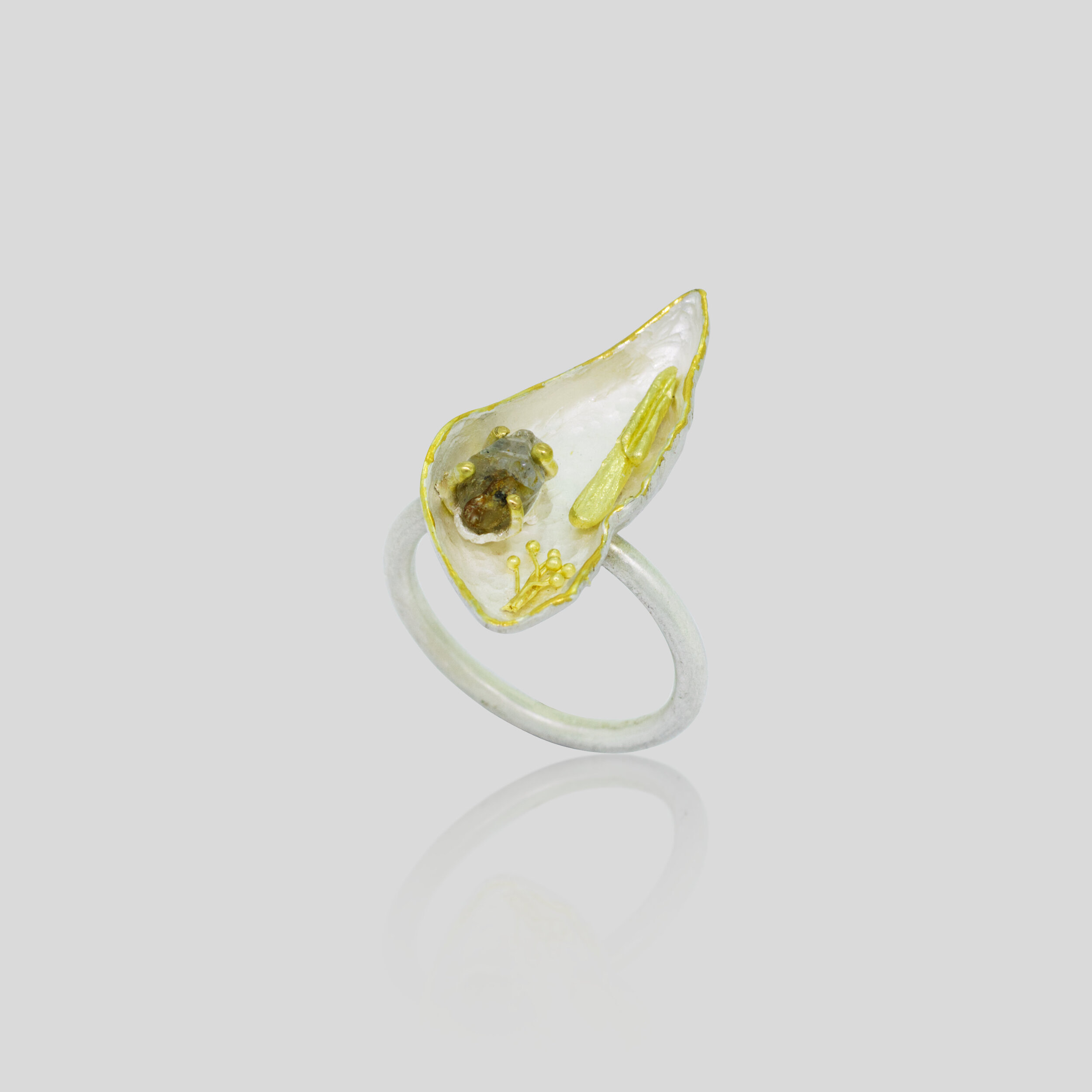 Wunderkammer Ring_Main 2.jpg