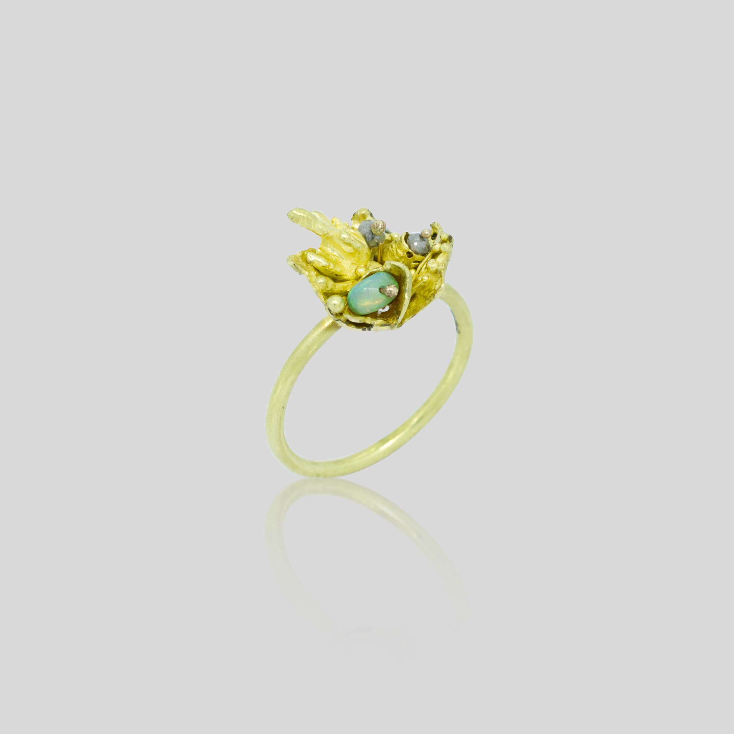 Bibelo Ring Main.jpg