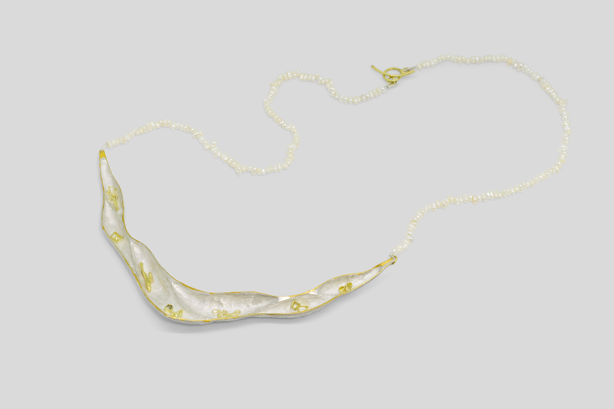 Wunderkammer Necklace_Main.jpg
