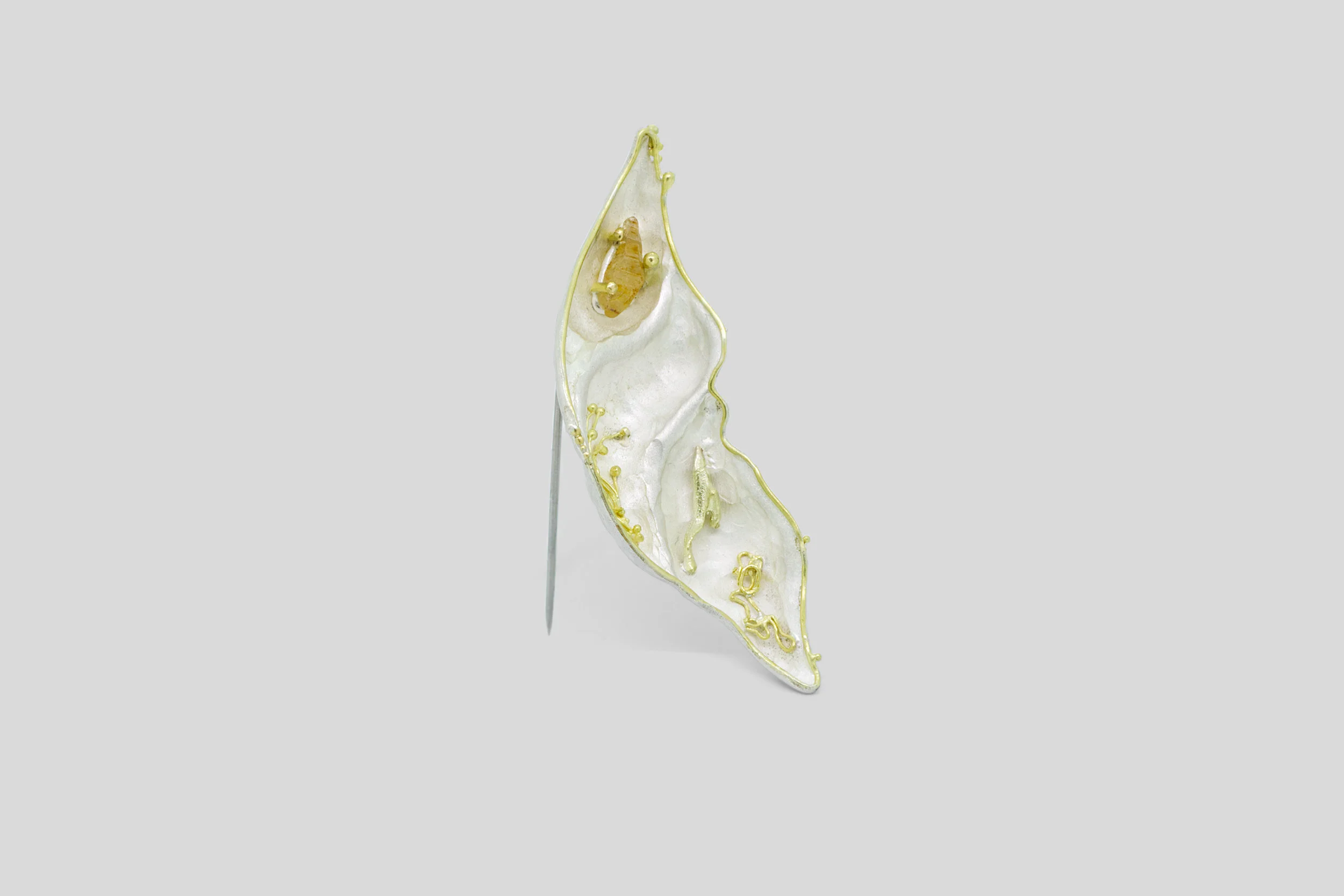 Wunderkammer Brooch_Main.jpg
