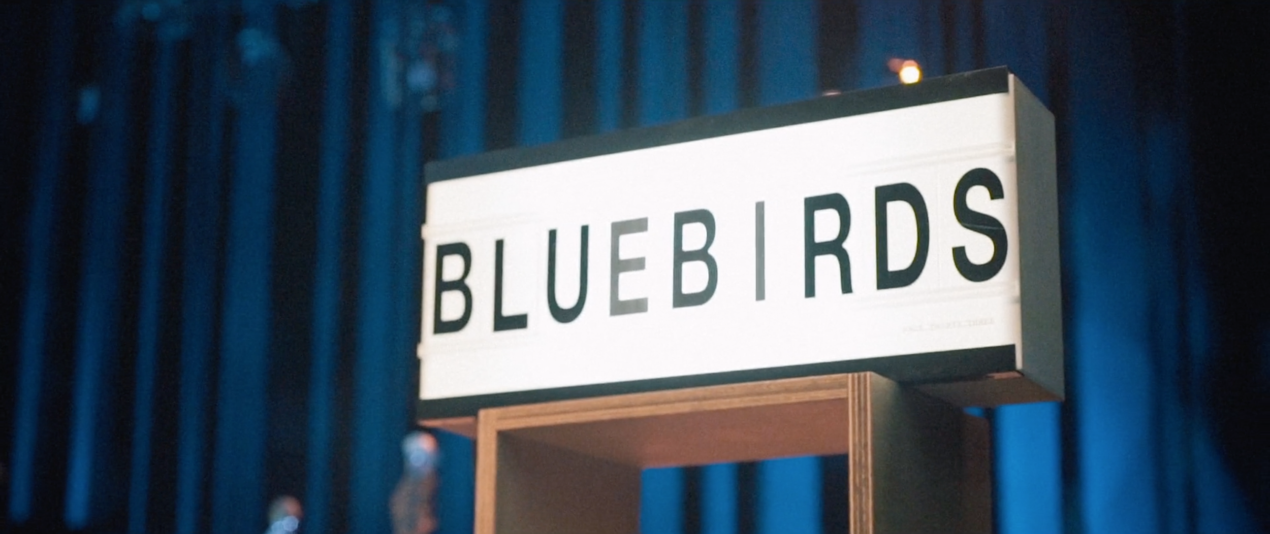 BLUEBIRDS FLY Concert - Highlights