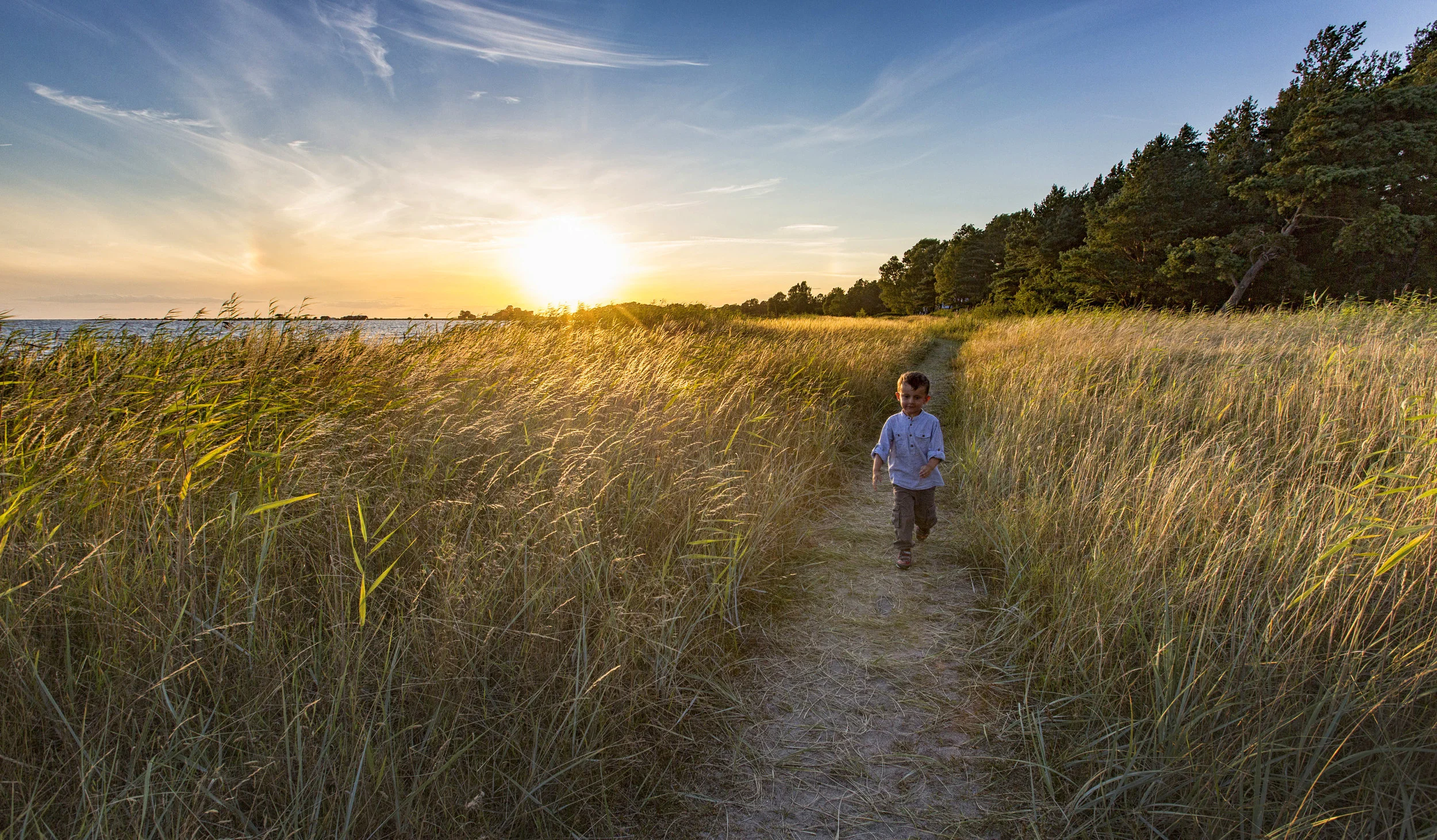 Gotland