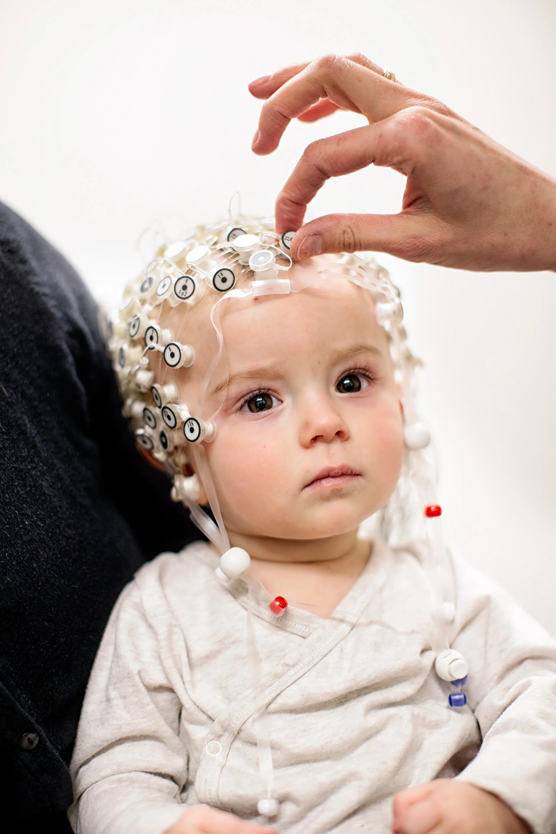 Babylab