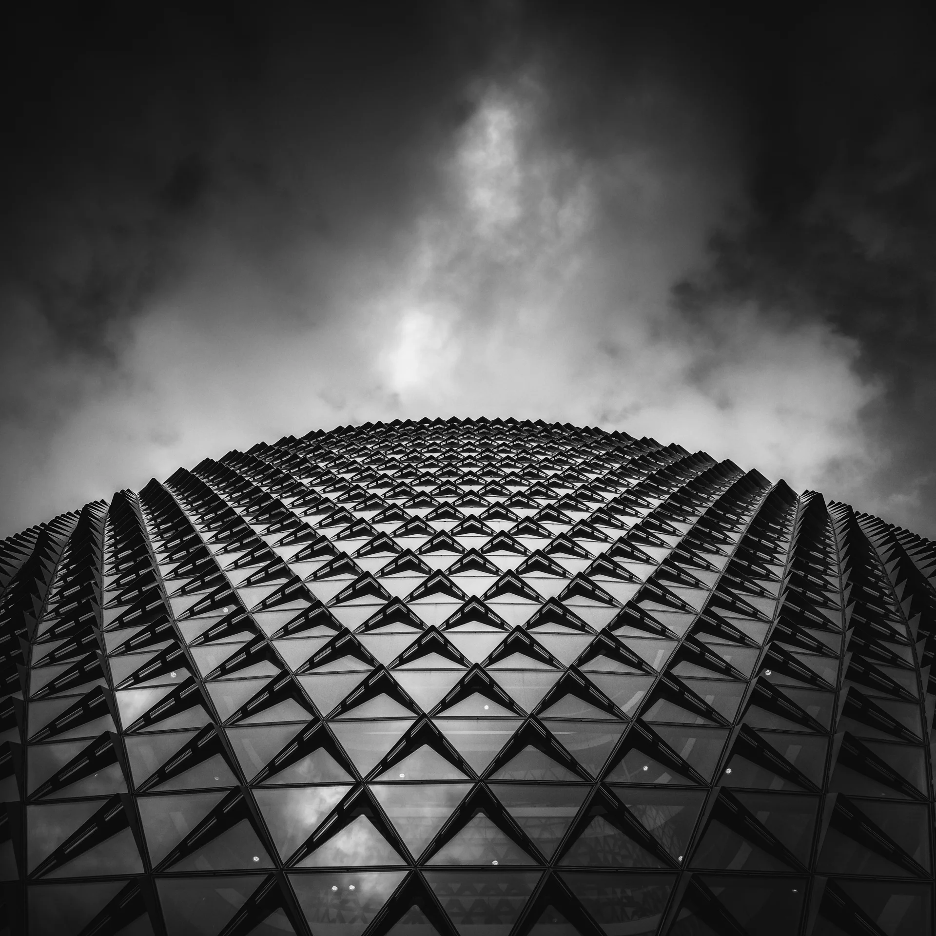WEB 2019-38.jpg