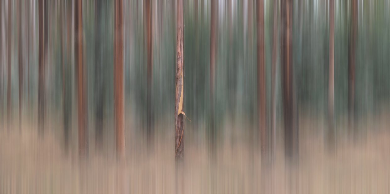 DSC_9100-Edit-Edit.jpg
