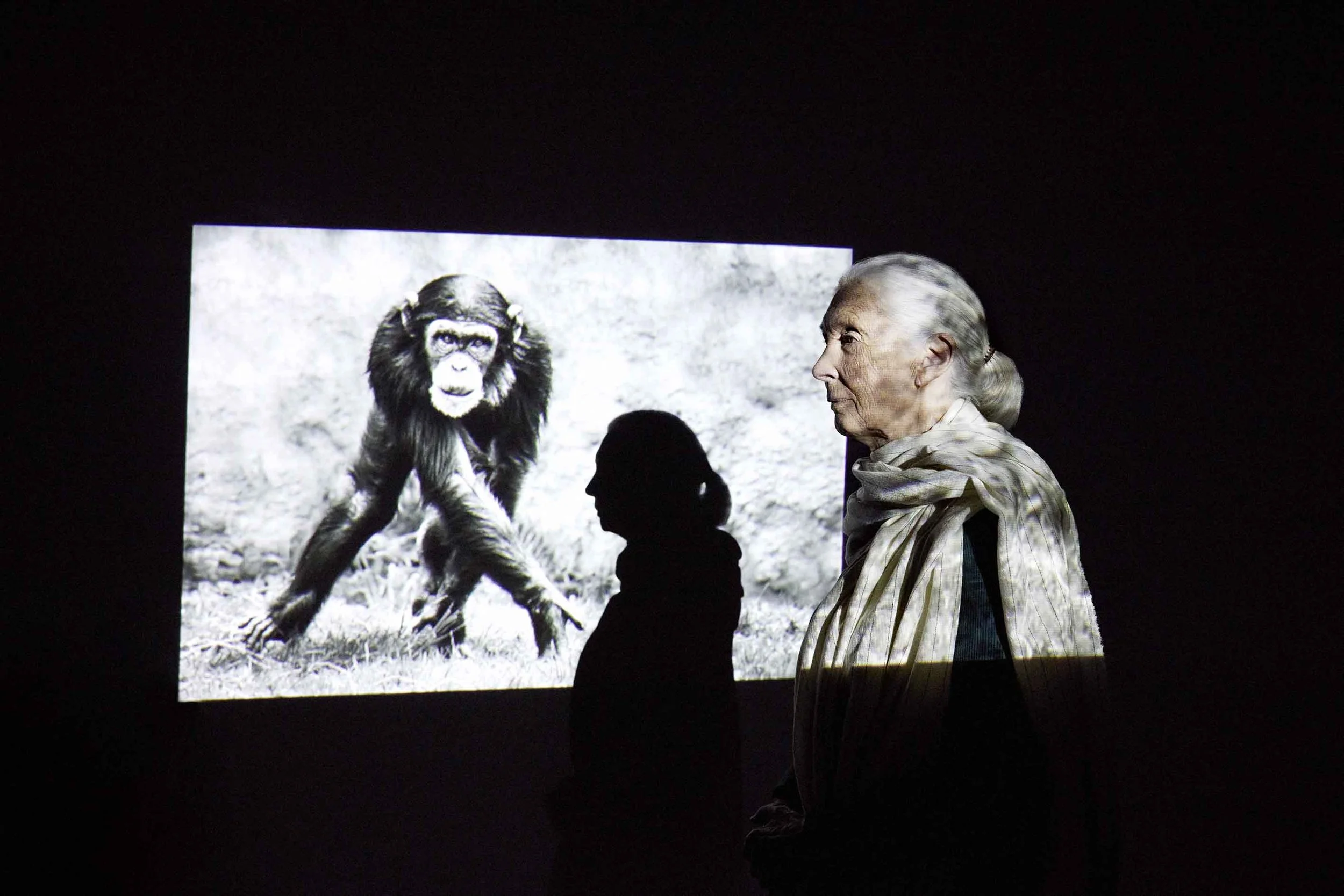 Zoe McConnell_RT_YOU_JANE GOODALL_SHOT_03_0282LowRes.jpg
