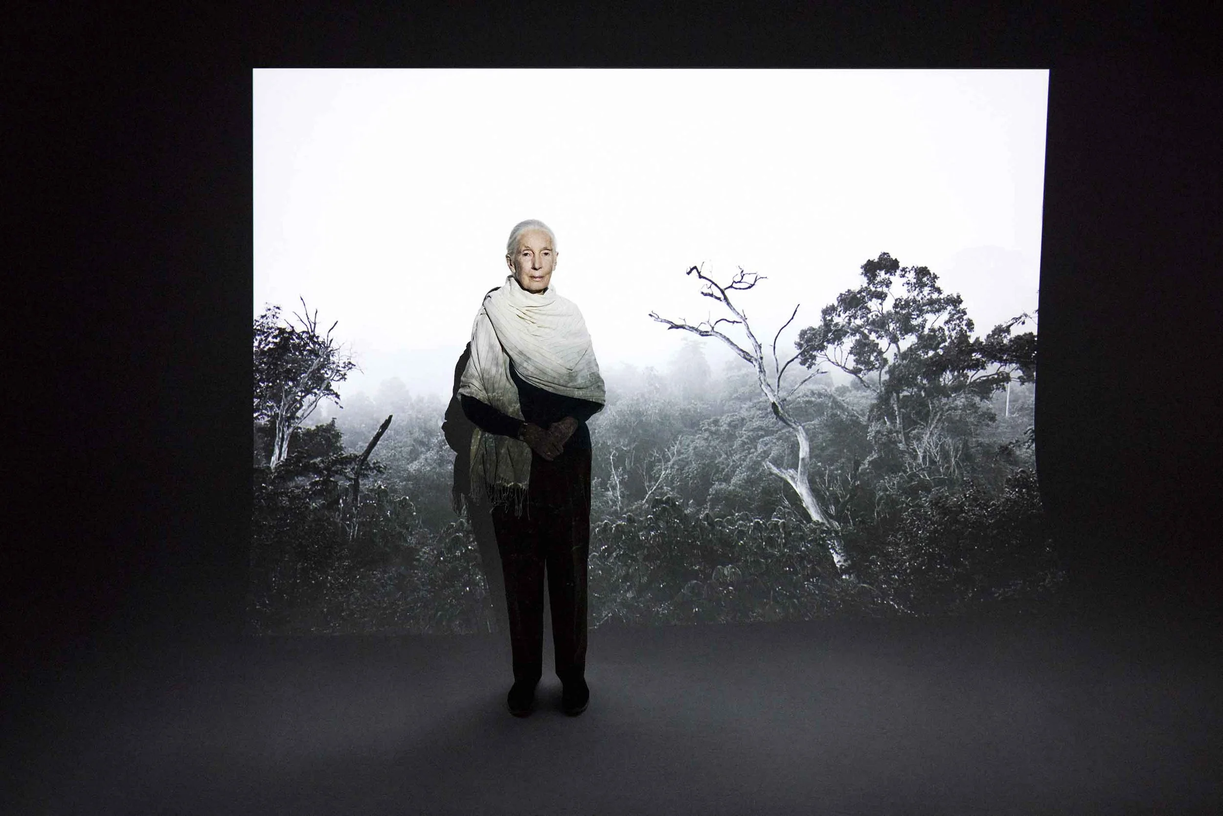 Zoe McConnell_RT_YOU_JANE GOODALL_SHOT_02_0263LOWRES.jpg