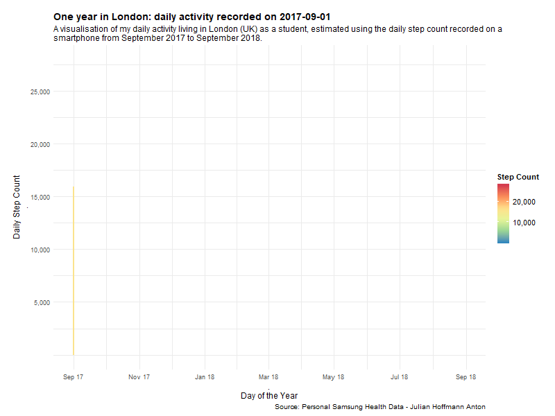 One year of daily activity