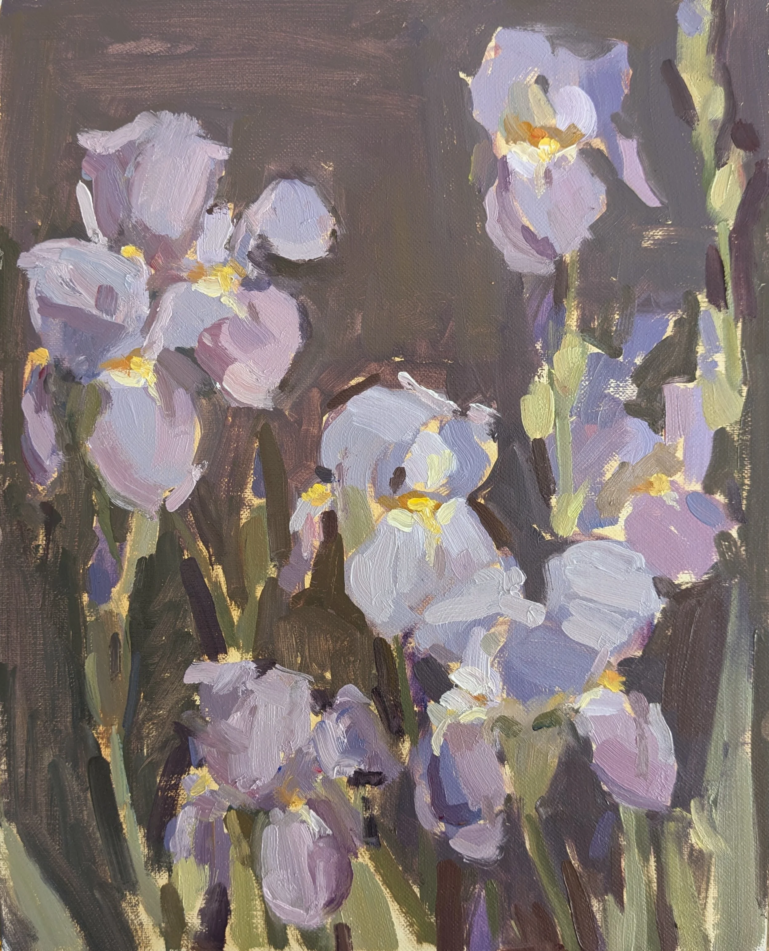 Irises, Chisinau