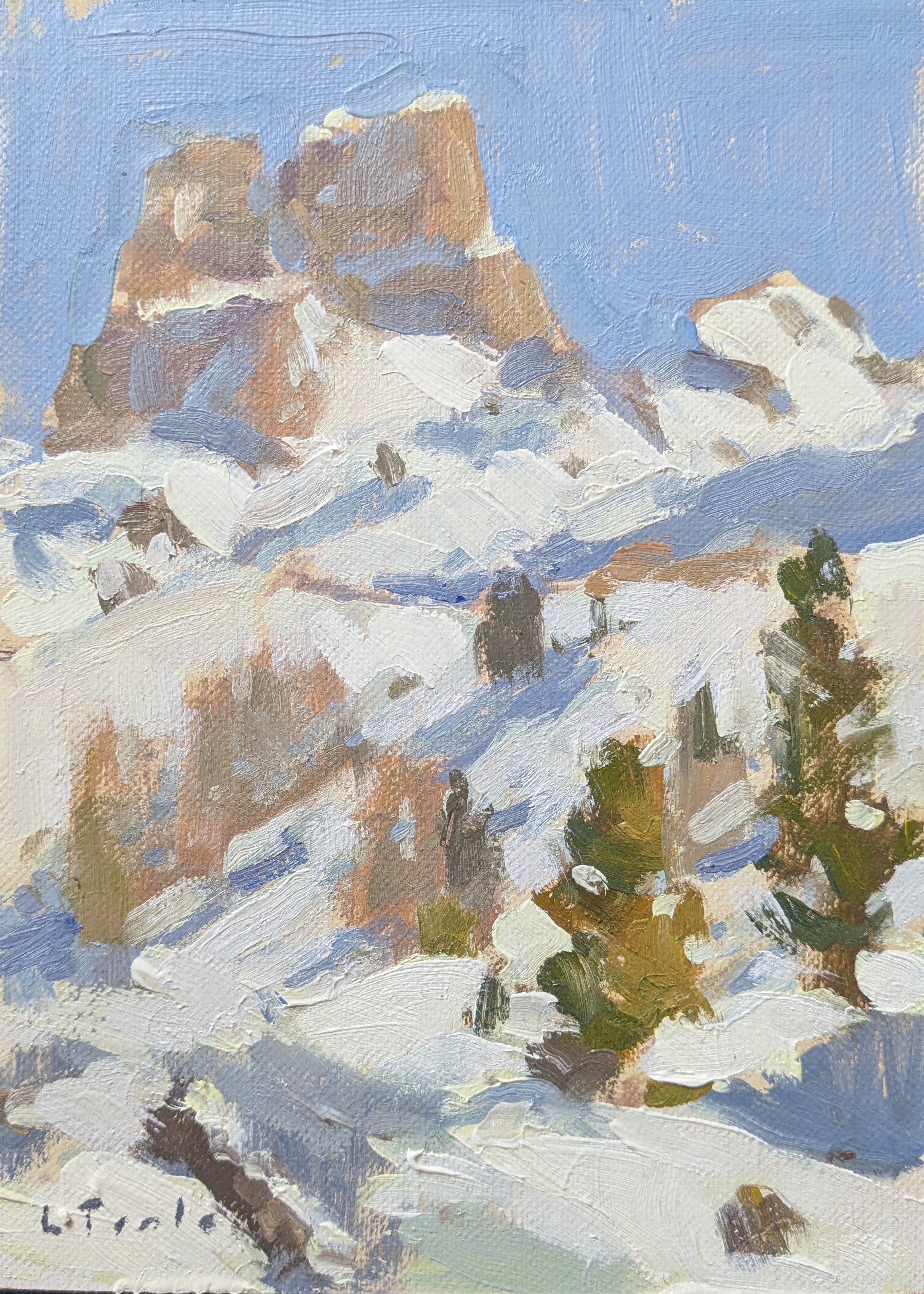 1000052153.jpg