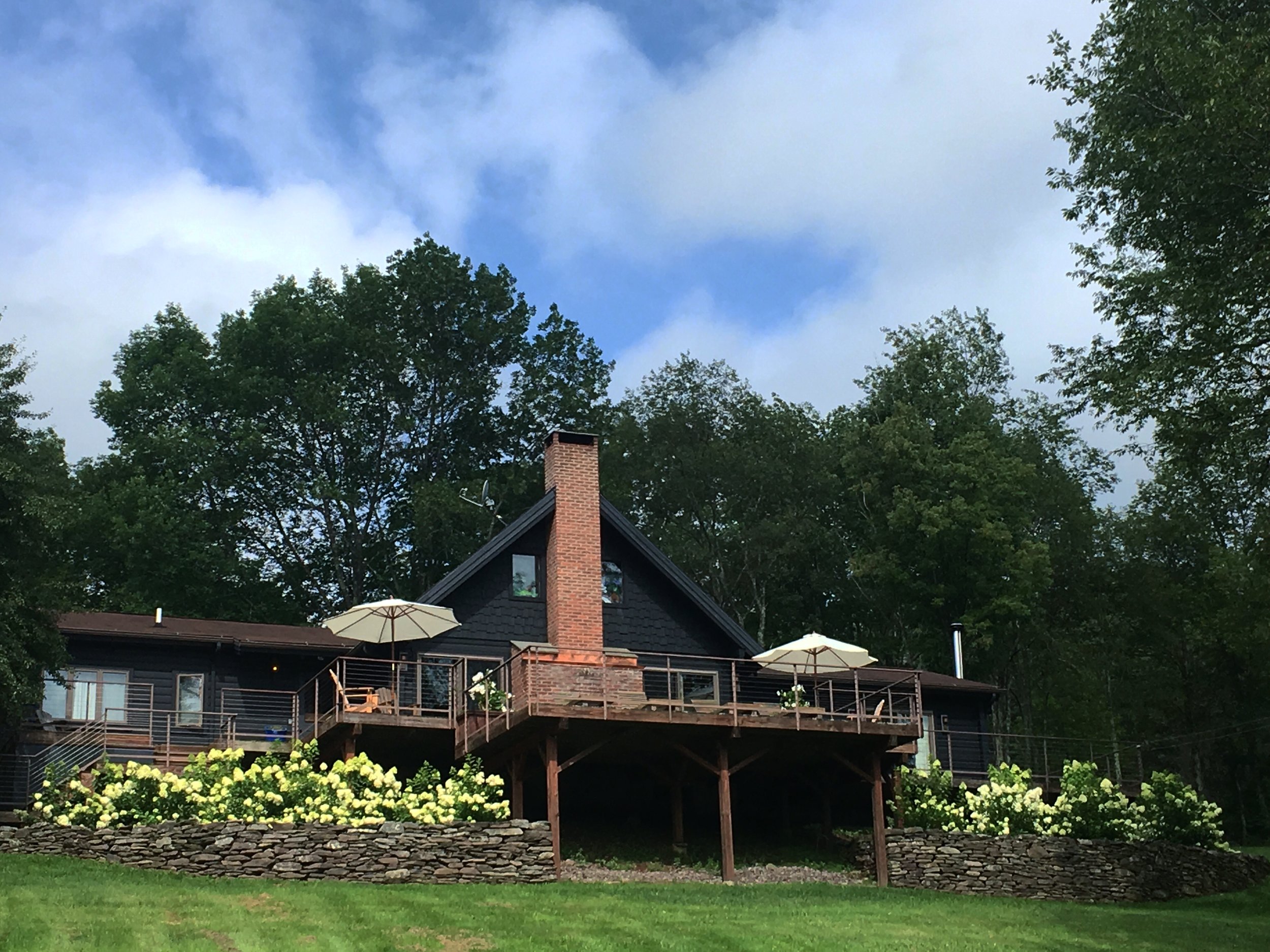 cabin with hydrangeas.jpg