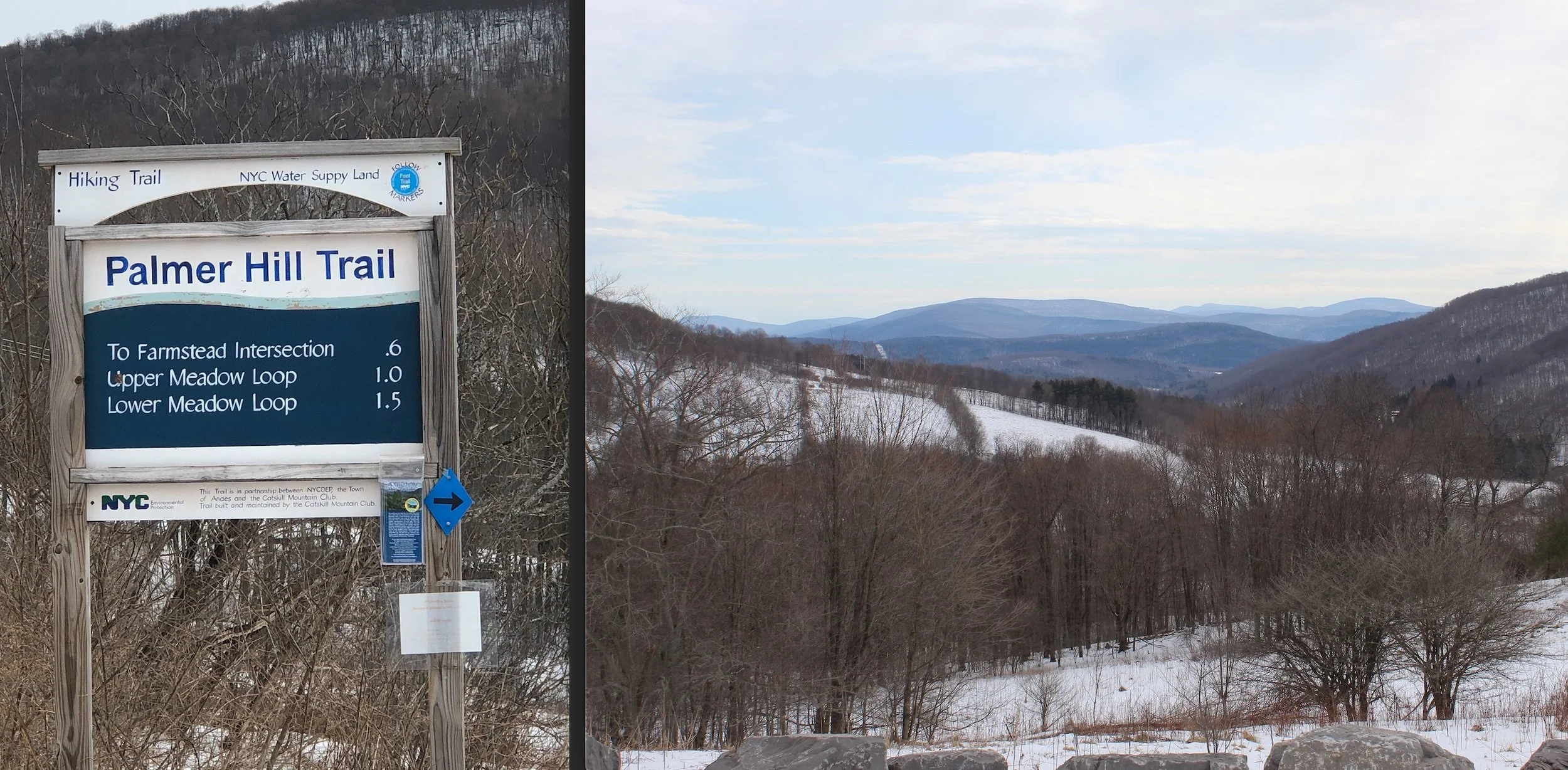 February views at Palmer Hill.