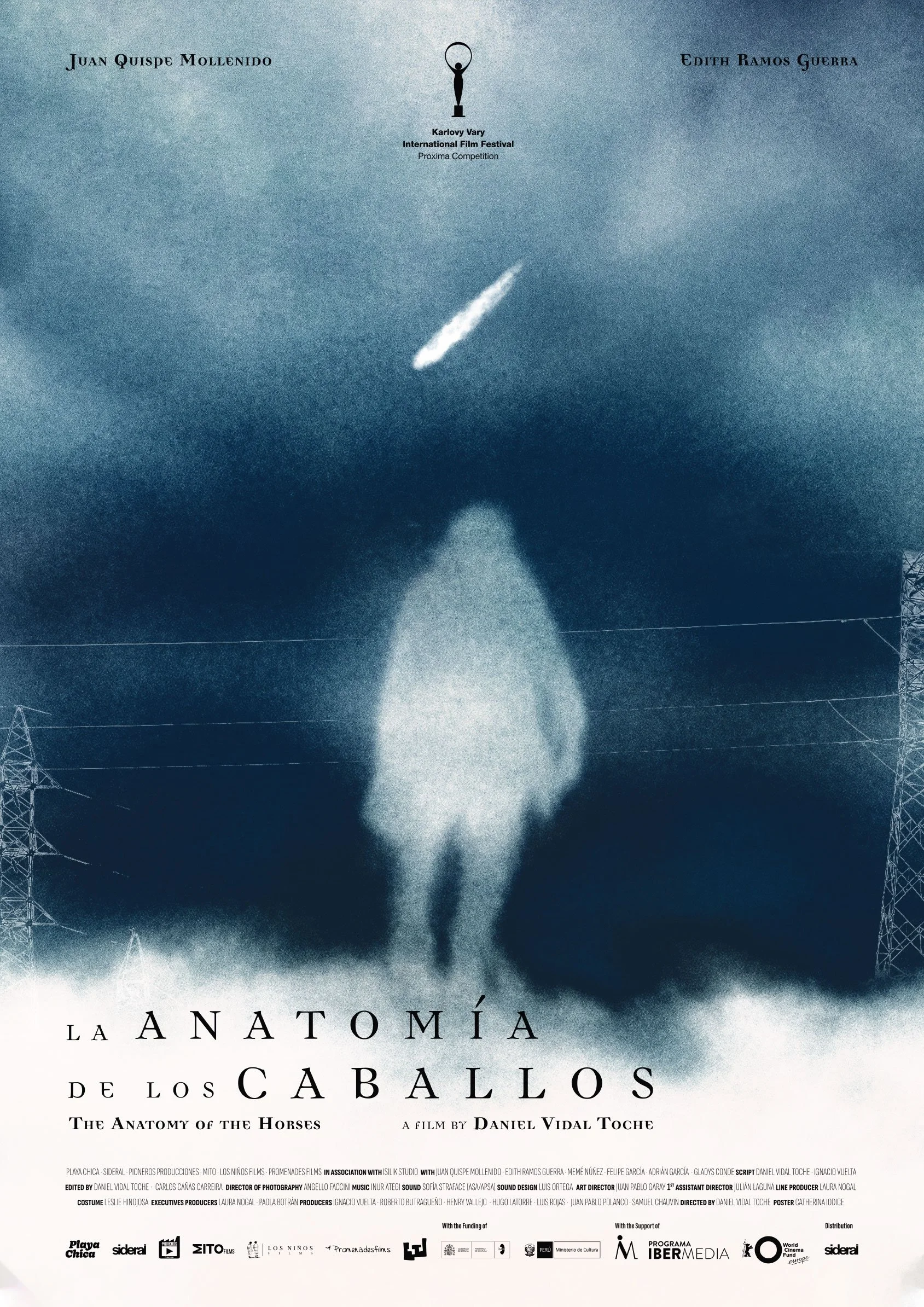 La anatomía de los caballos