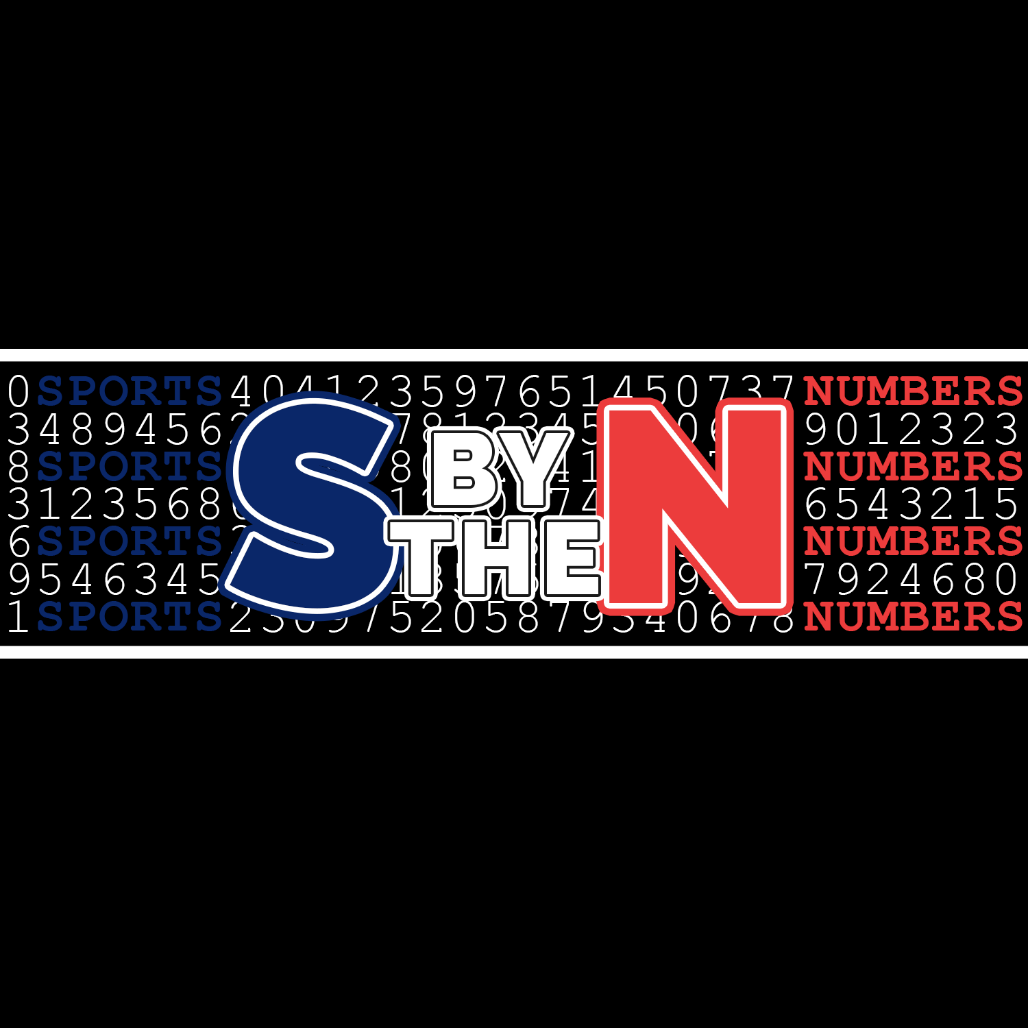 SBTN Logo (Black).png