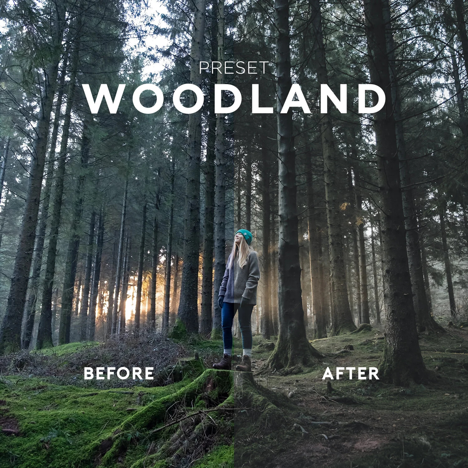Lightroom Preset - Woodland