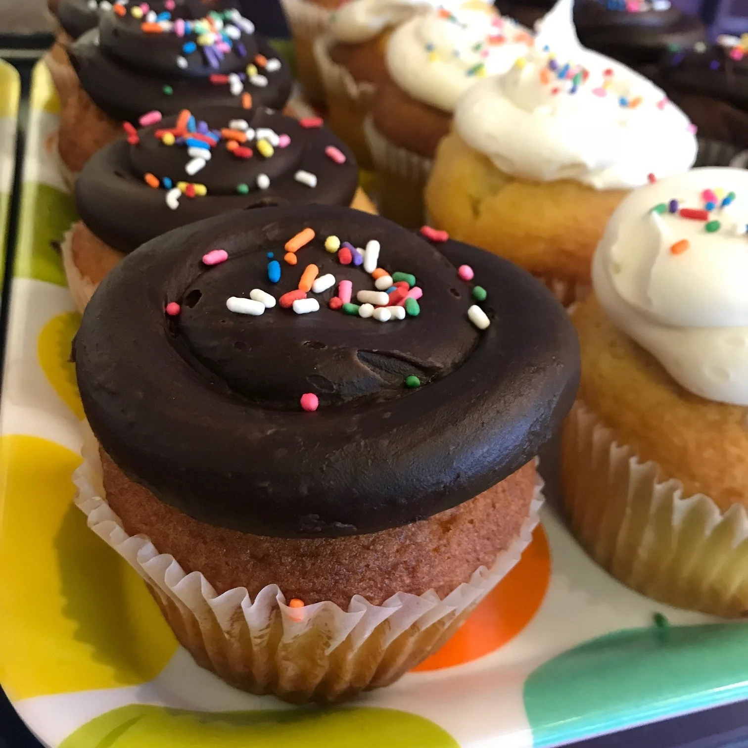Filled Boston Cream Cupcakes