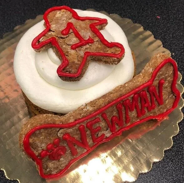 Pupcake December.JPG