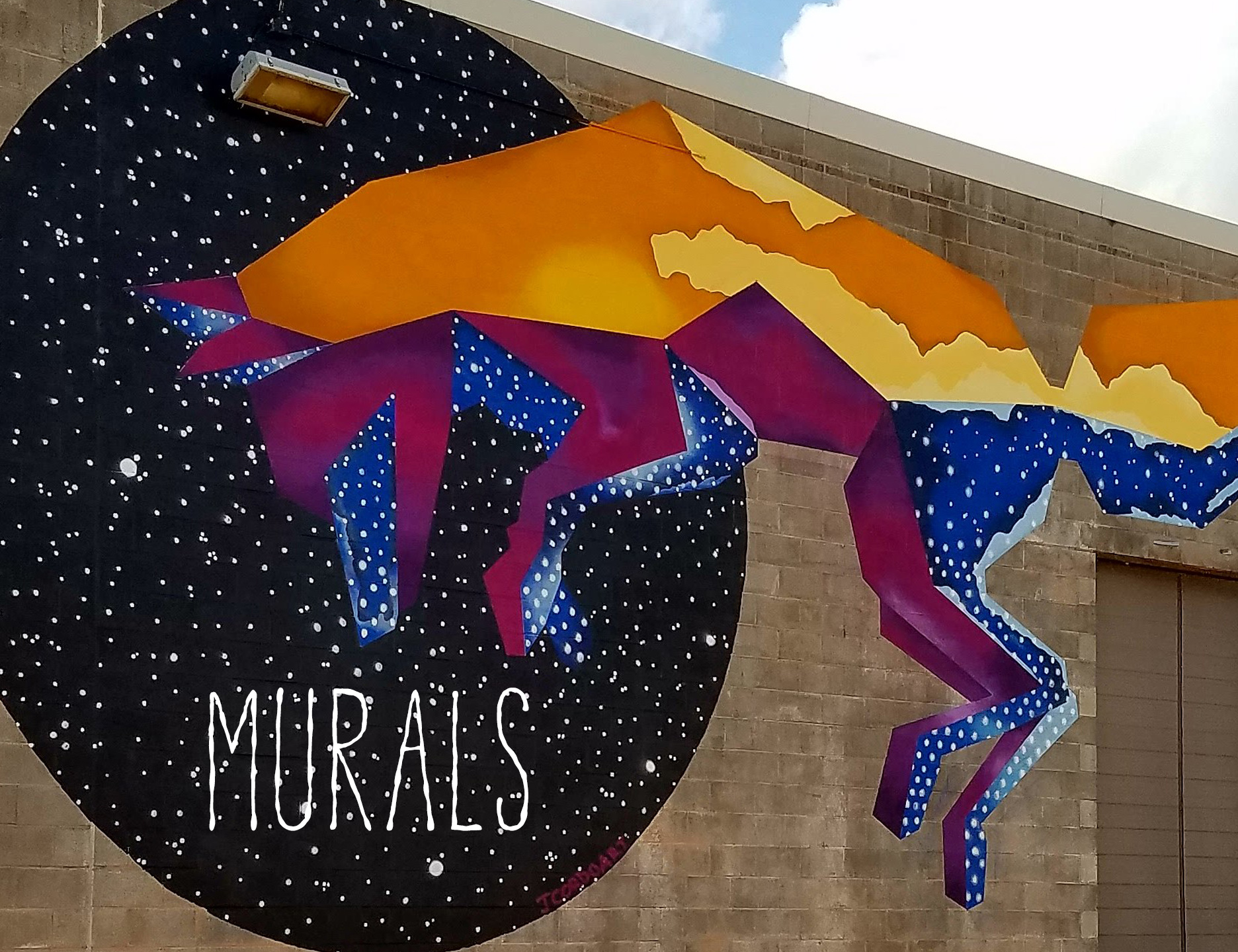 Houston Murals for Hire