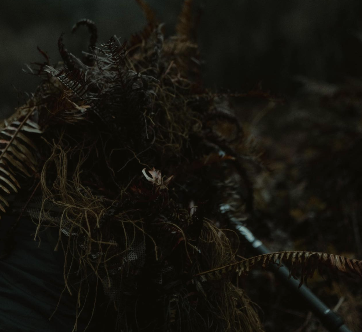 The Importance of Camouflage in War Explained — Core Vision Training