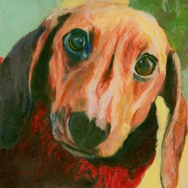 doxie-in-red-ss.jpg