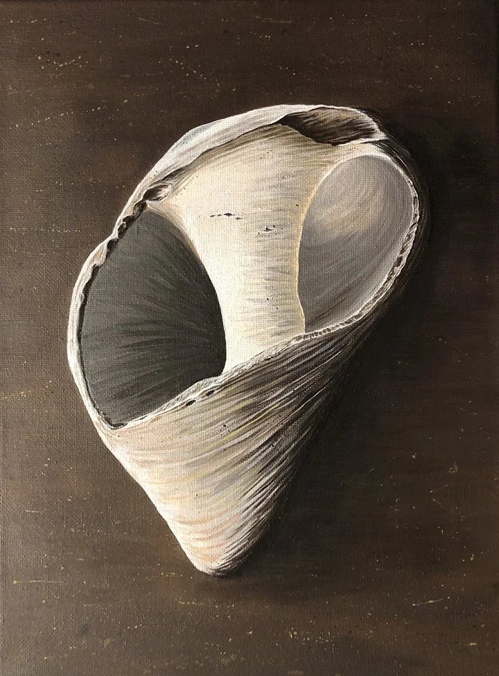 broken-shell2.jpg