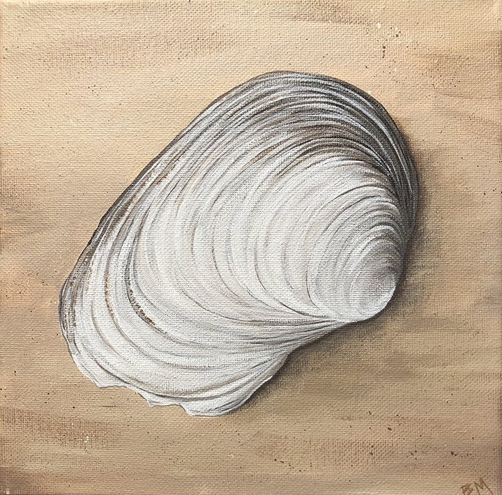 shell-on-beach.jpg