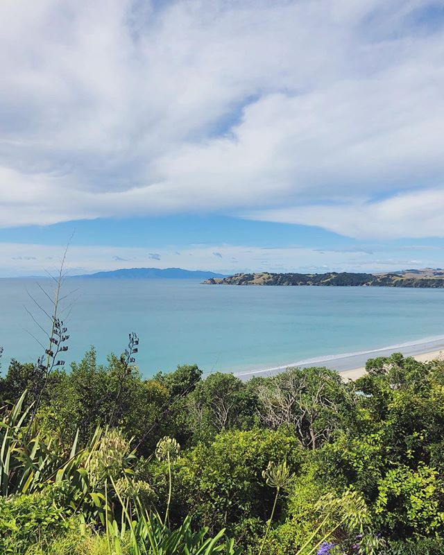 Missing my new favorite views from Waiheke Island