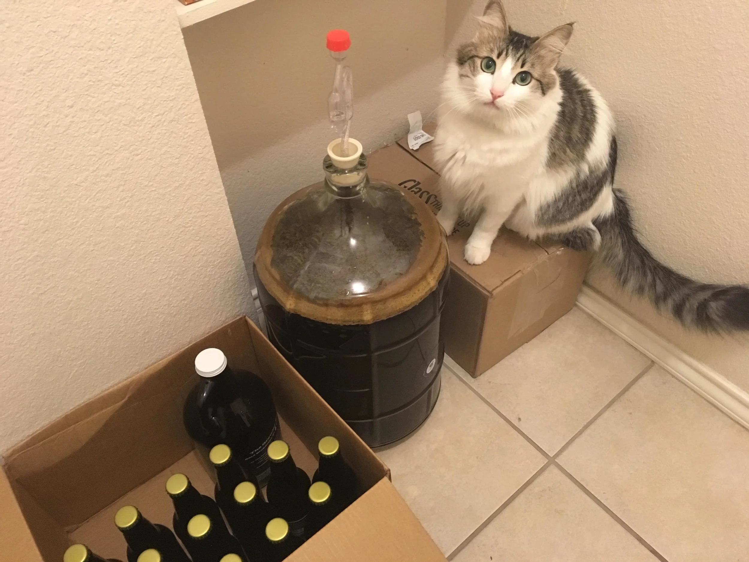 I took a Saturday Off