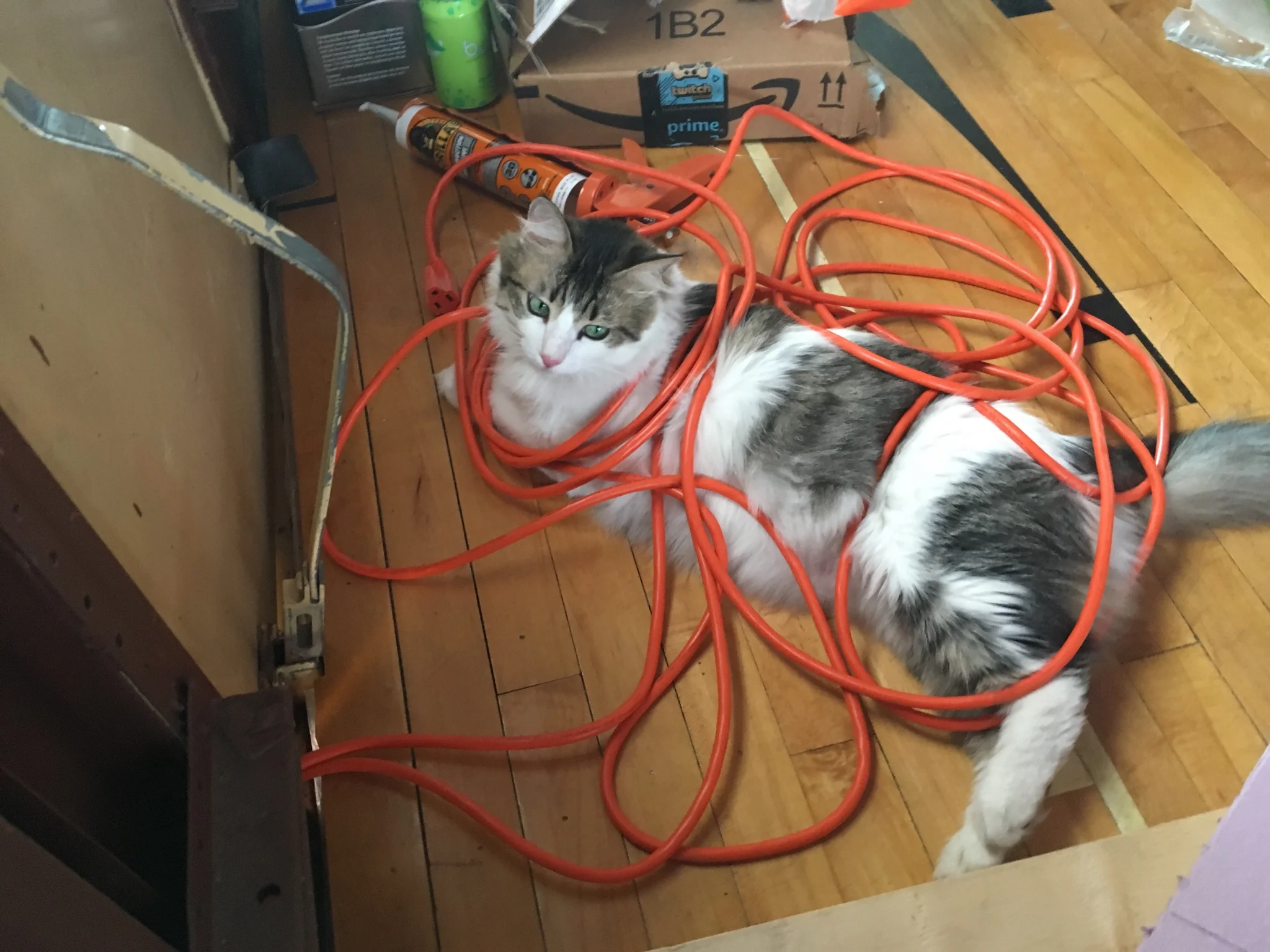 She Has Only Herself to Blame