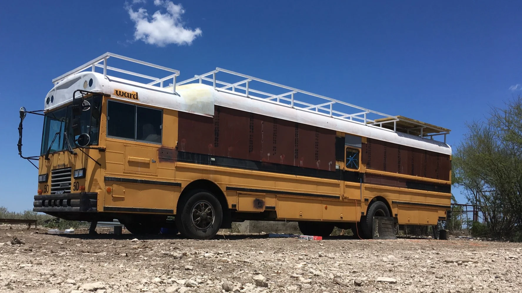 Looks Good at Her New Home