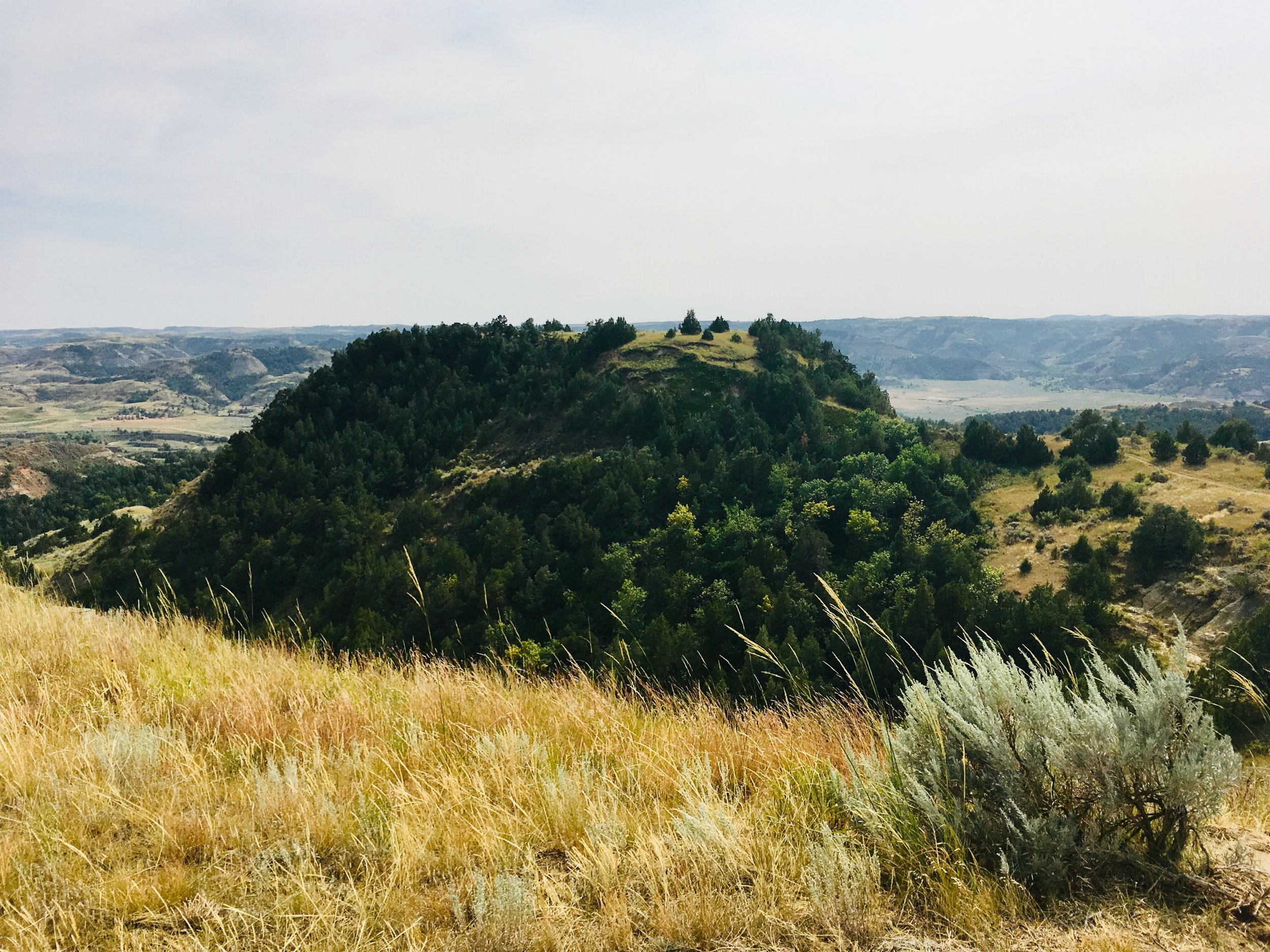 "She's a butte, Clark! A butte!!!"