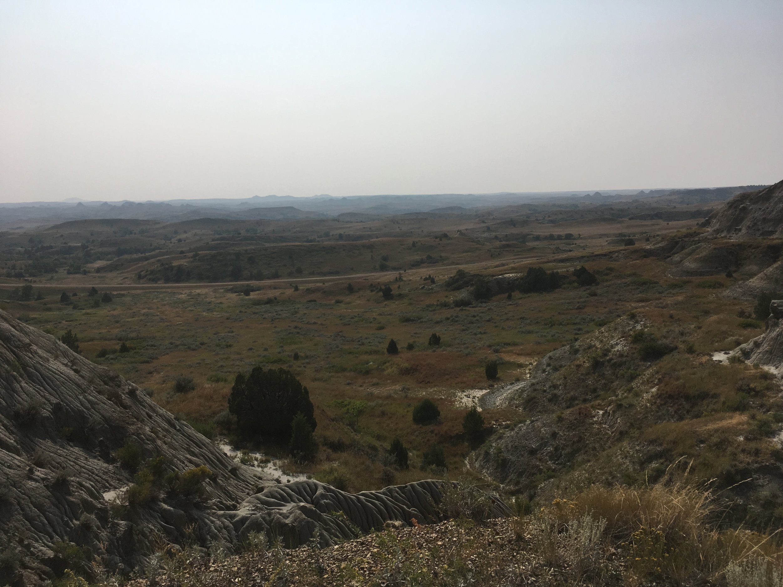 More Prairie and The Trail in the Distance