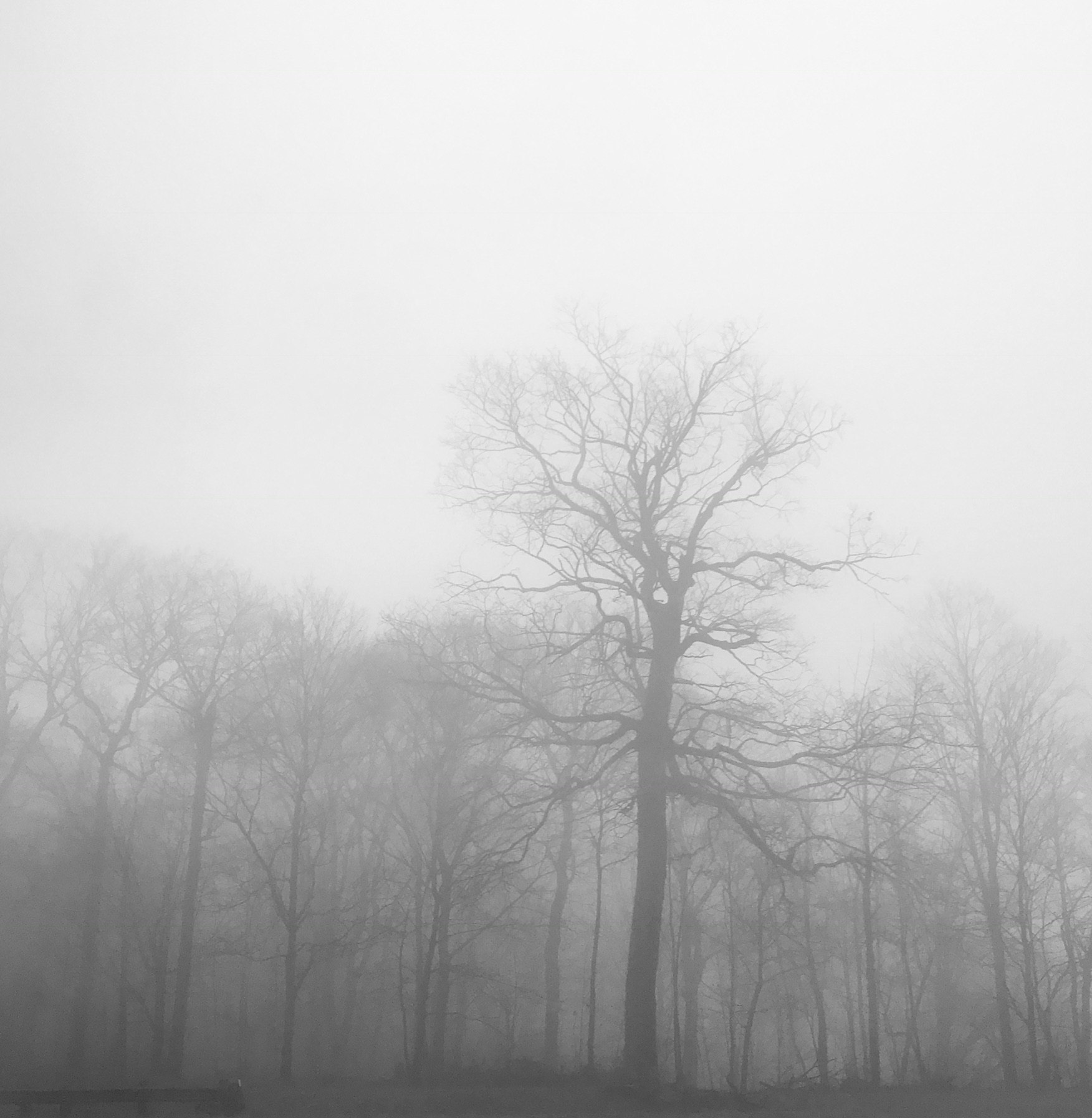E3D470C6-896A-49D5-B2D5-771832959498.jpeg