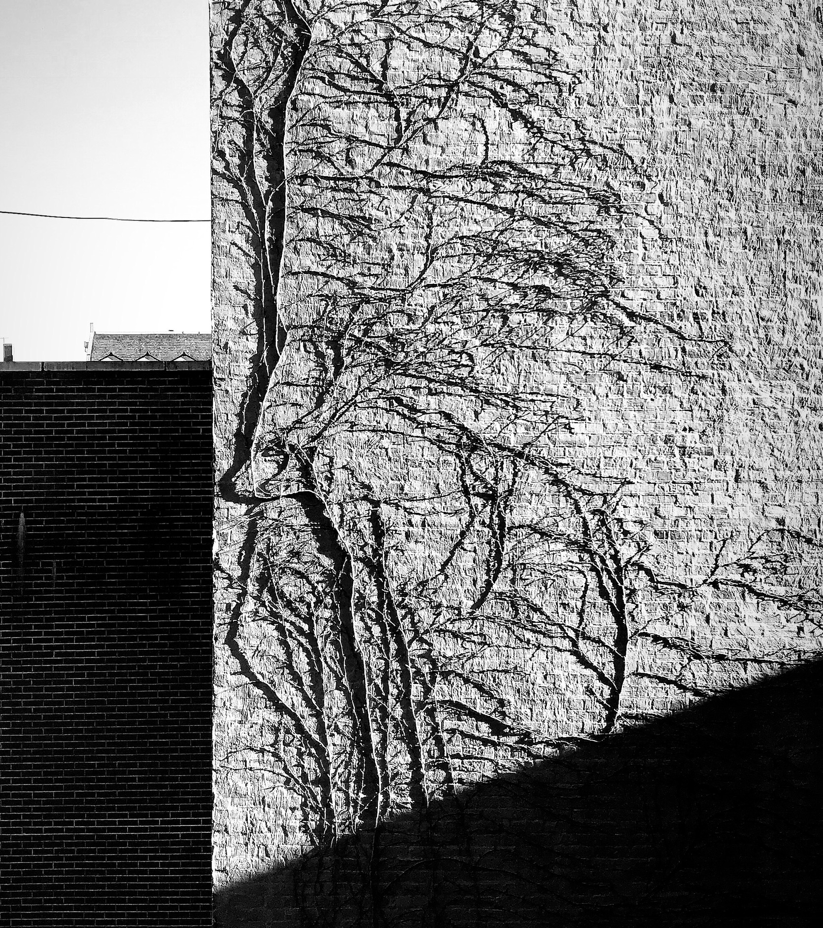 4CD84DC6-138D-4293-B70B-217664318615.jpeg