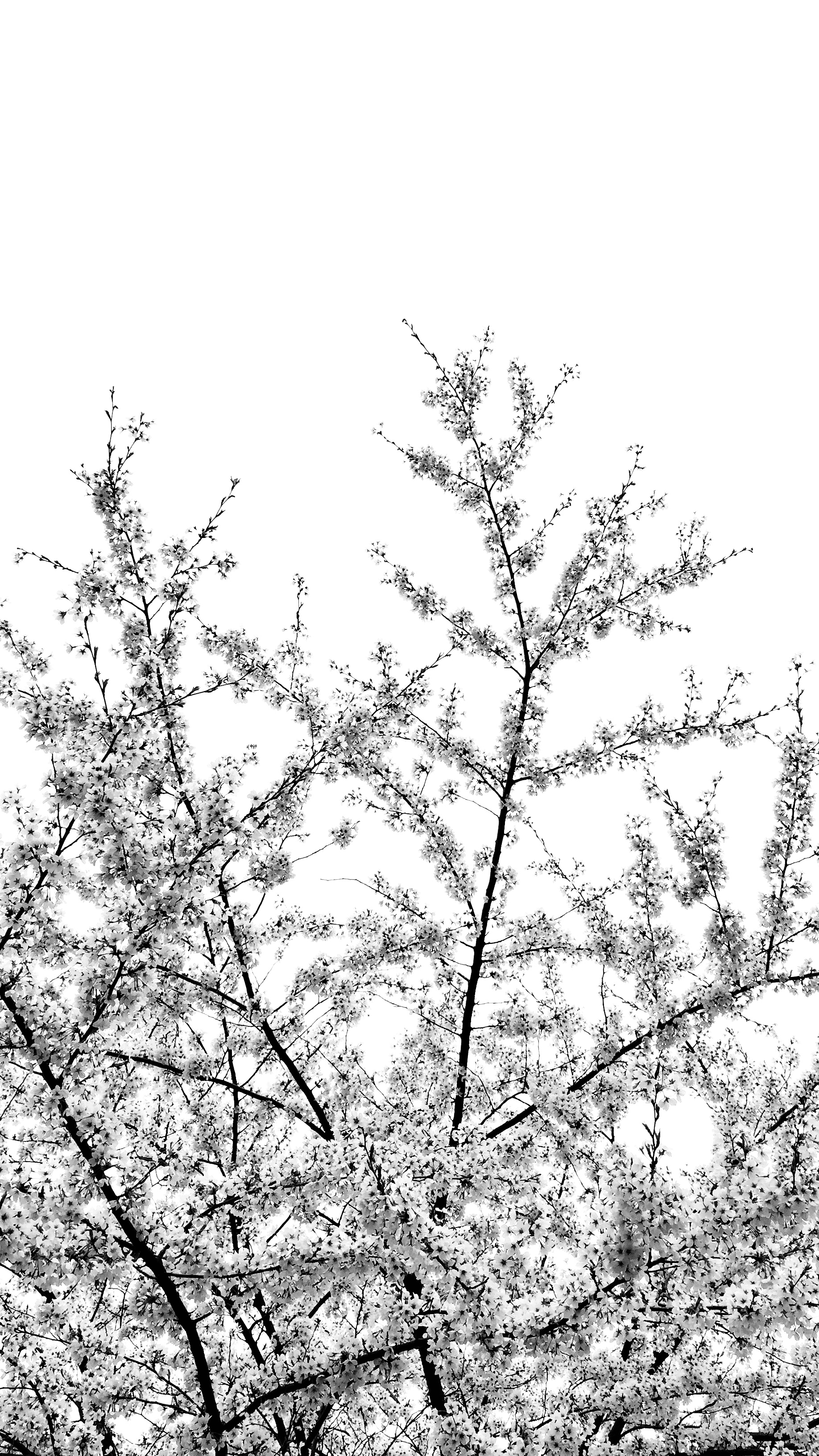E6704864-5500-44CB-A963-5705CDD6F51B.jpeg