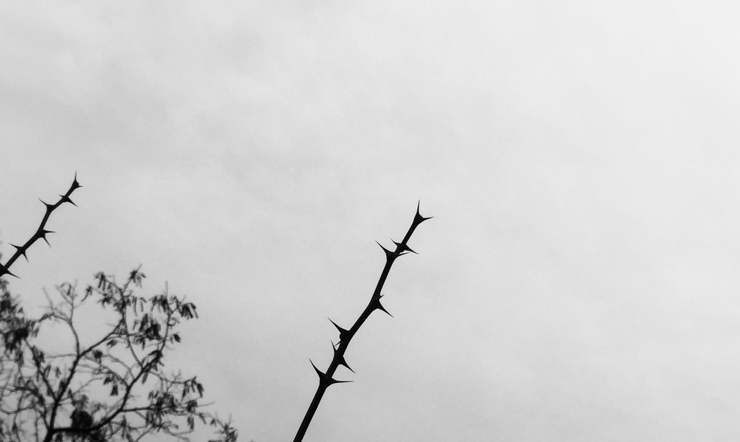 DA1F45B6-932D-4442-A2DB-8847088AA9F7.jpeg