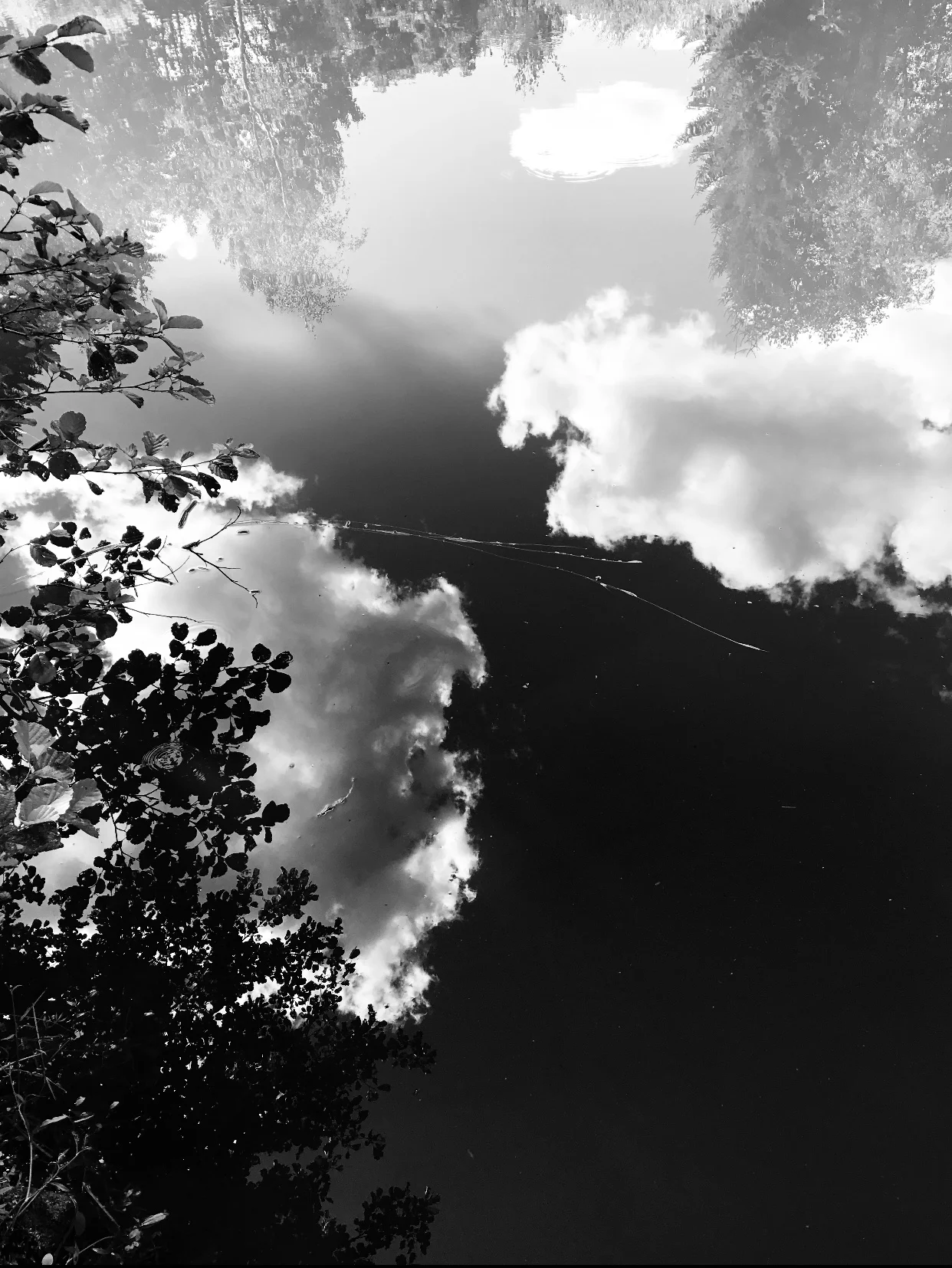 603E0B03-F759-4CCE-8F82-D1938CC781A4.jpeg
