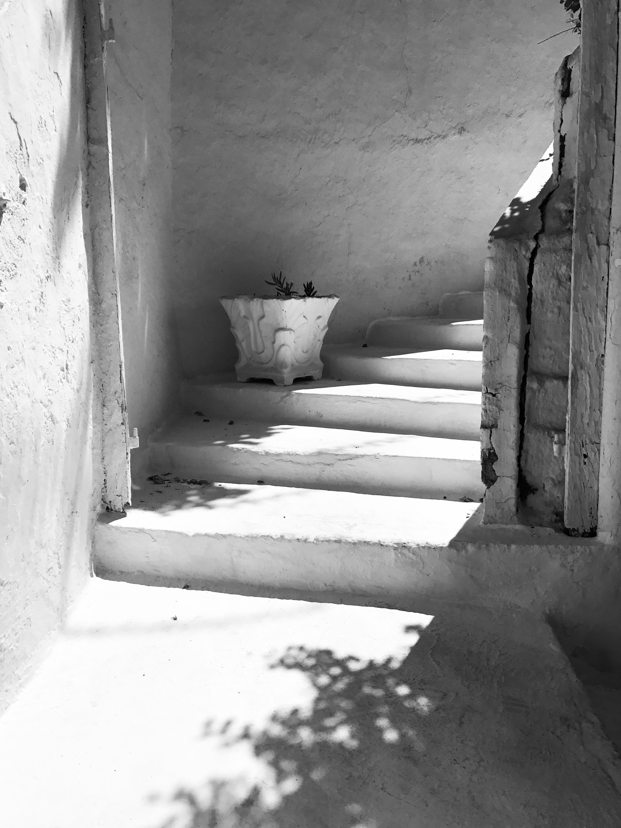 D3C0632F-A47A-4770-AF0E-D5942E22BE8F.jpeg