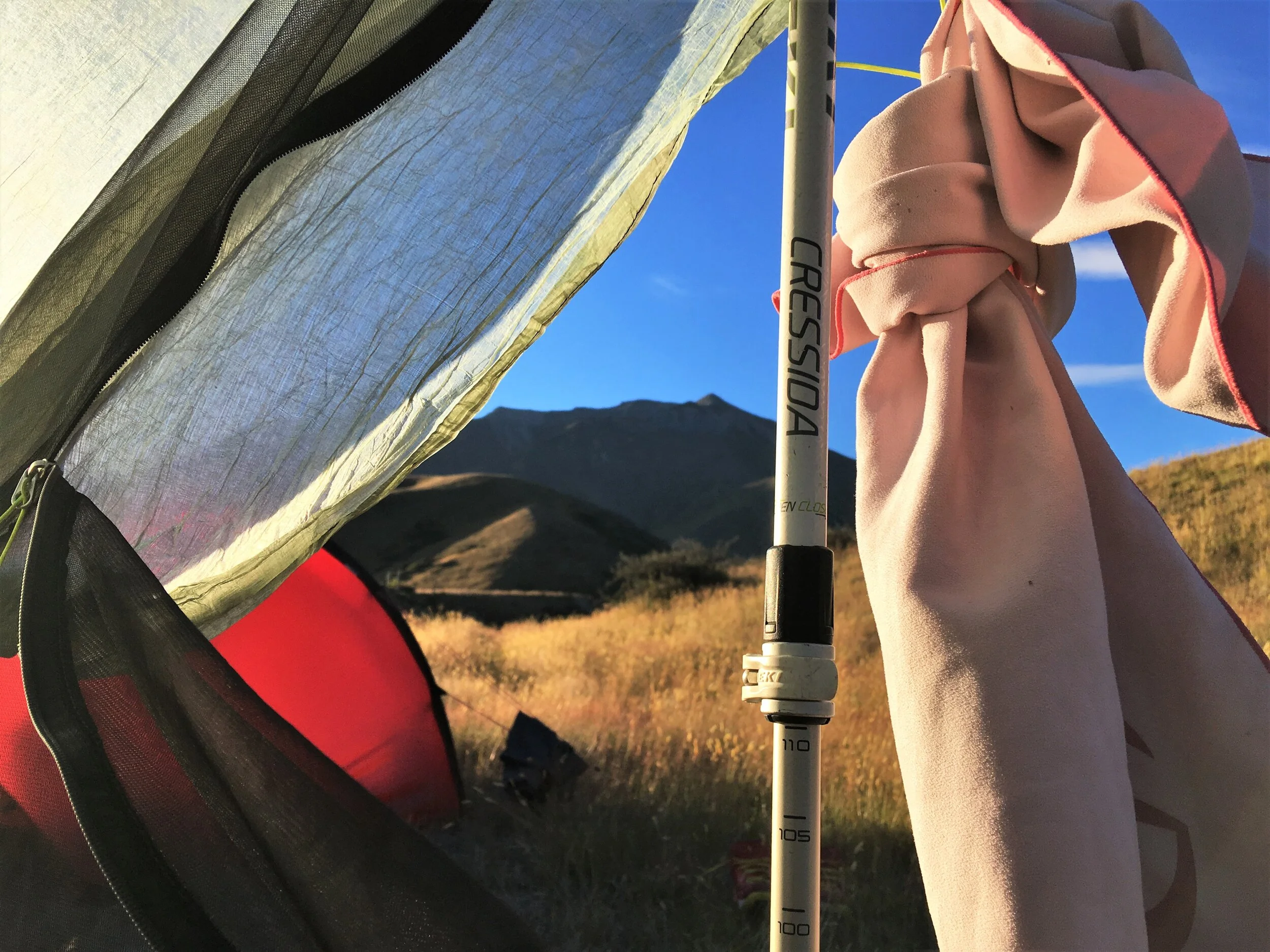 Trekking poles.JPG