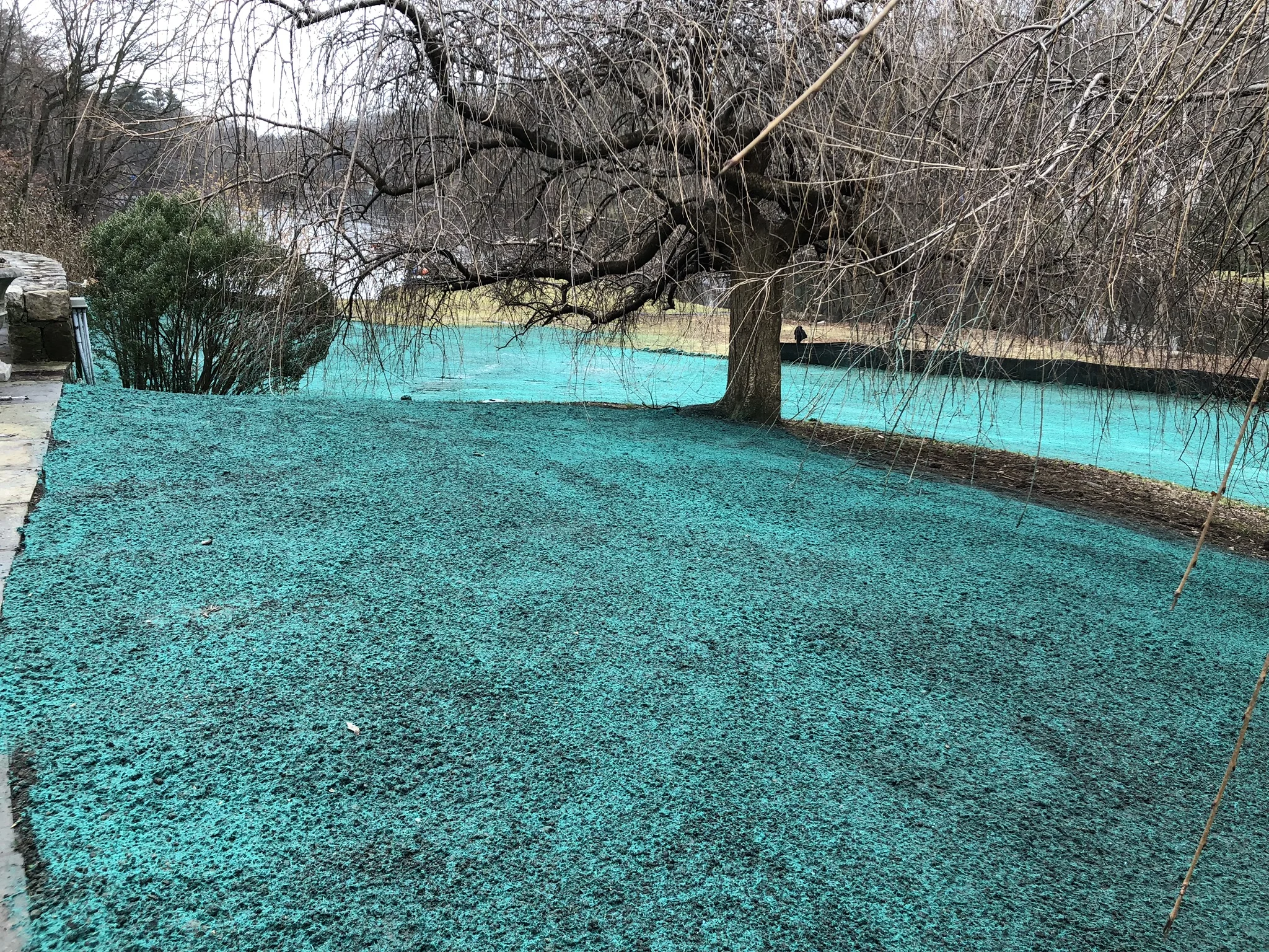 Hydroseeding — Bottge, Inc.