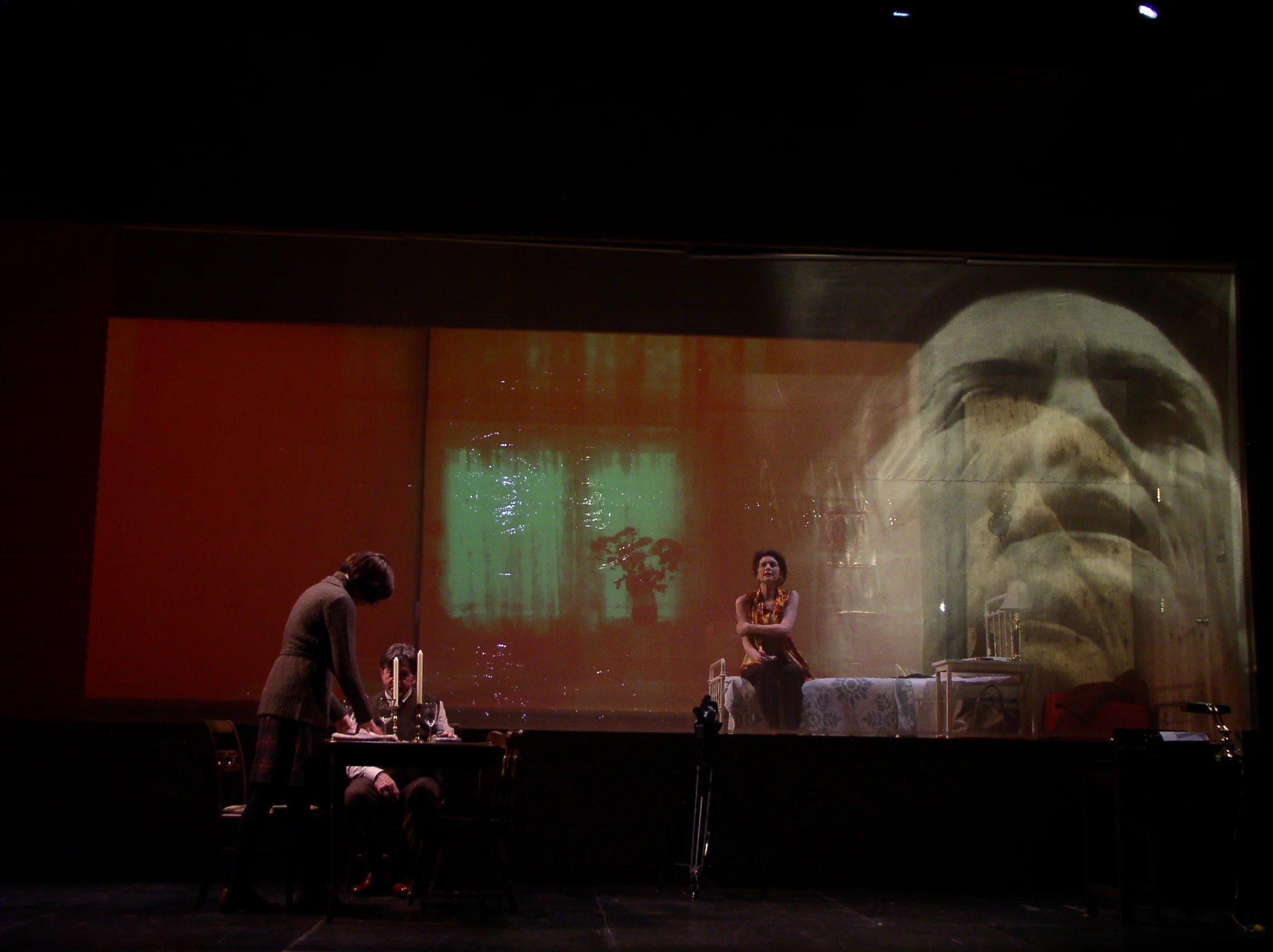 Autumn Sonata - written by Ingmar Bergman, directed by Robert Woodruff for Yale Repertory Theater.