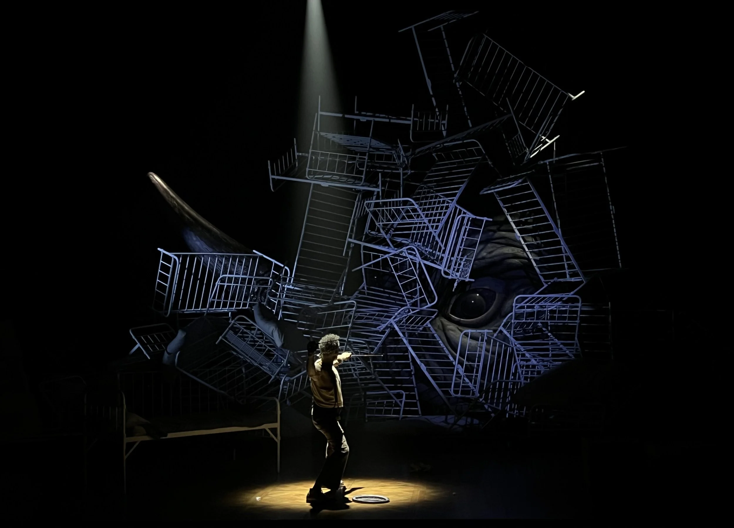 Rhinoceros - by Eugene Ionesco, directed by Diane Paulus for American Repertory Theater