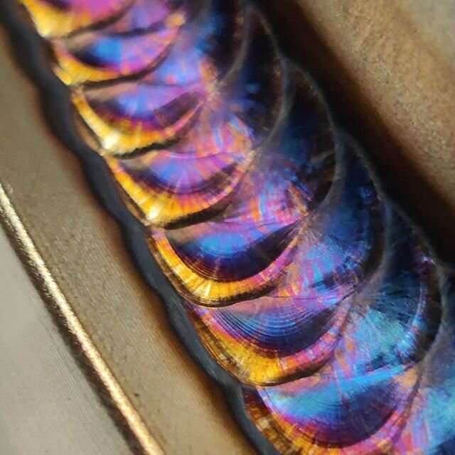 🦄💨 #foxdogwelding #weavewednesday #arcaddictsanonymous #goldenarmcollective #GAC #tigwelding #tig #gtaw #dabnation #tiglife #argonaddicts #welding #weldpornarmy #weldeverydamnday #ckworldwide #furickcups #bluedemonweld #pipeworx400 #tastetherainbow
