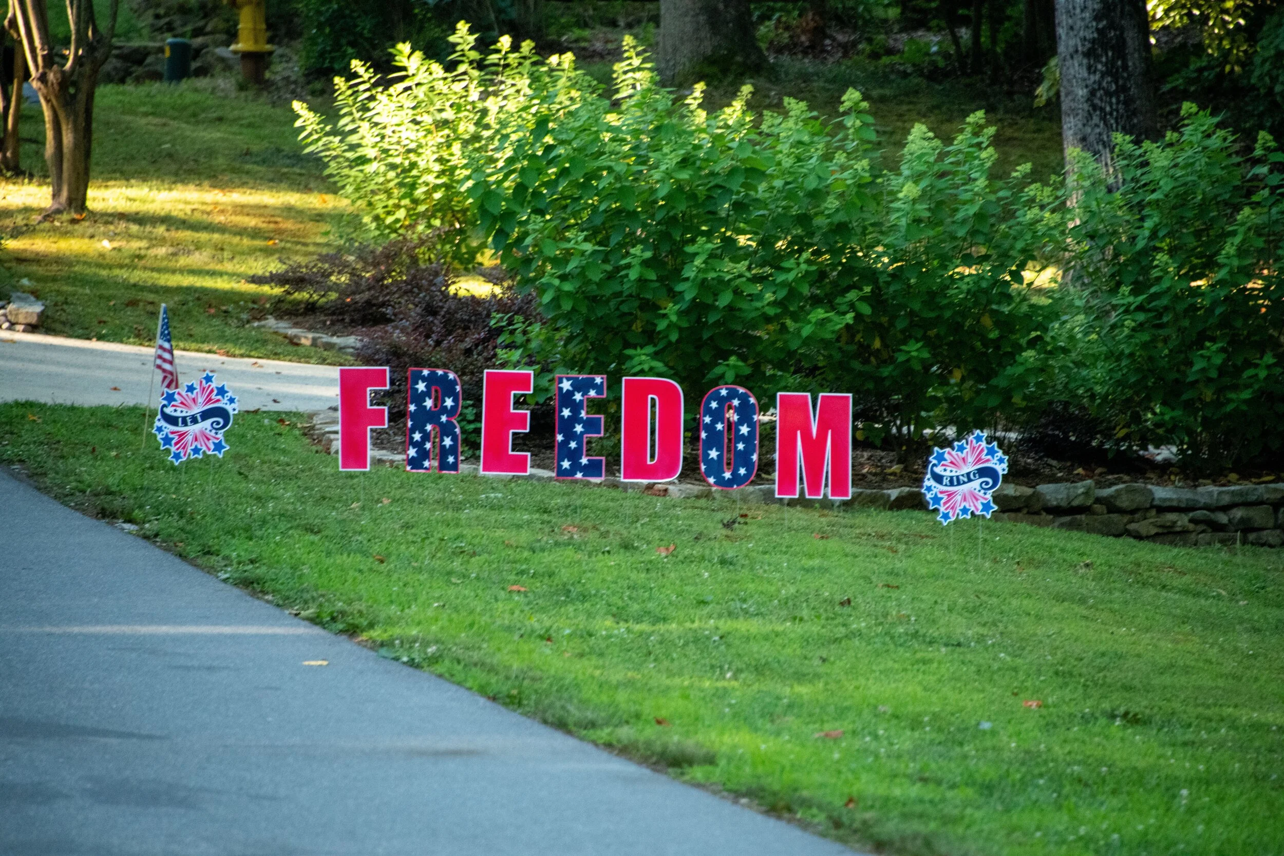 Freedom.jpeg