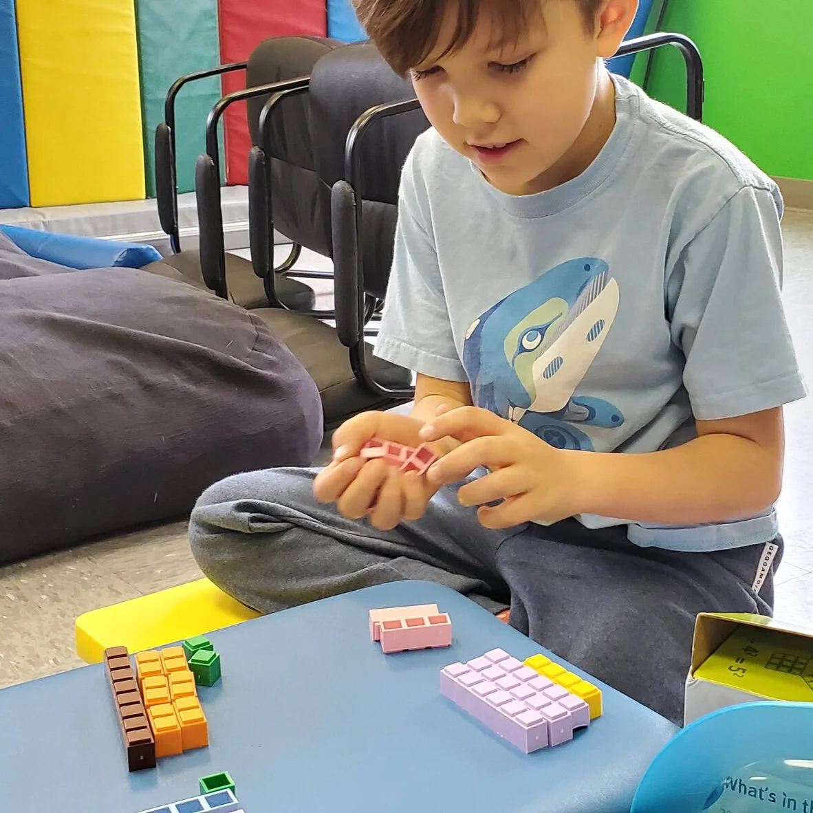 Executive Function Skills