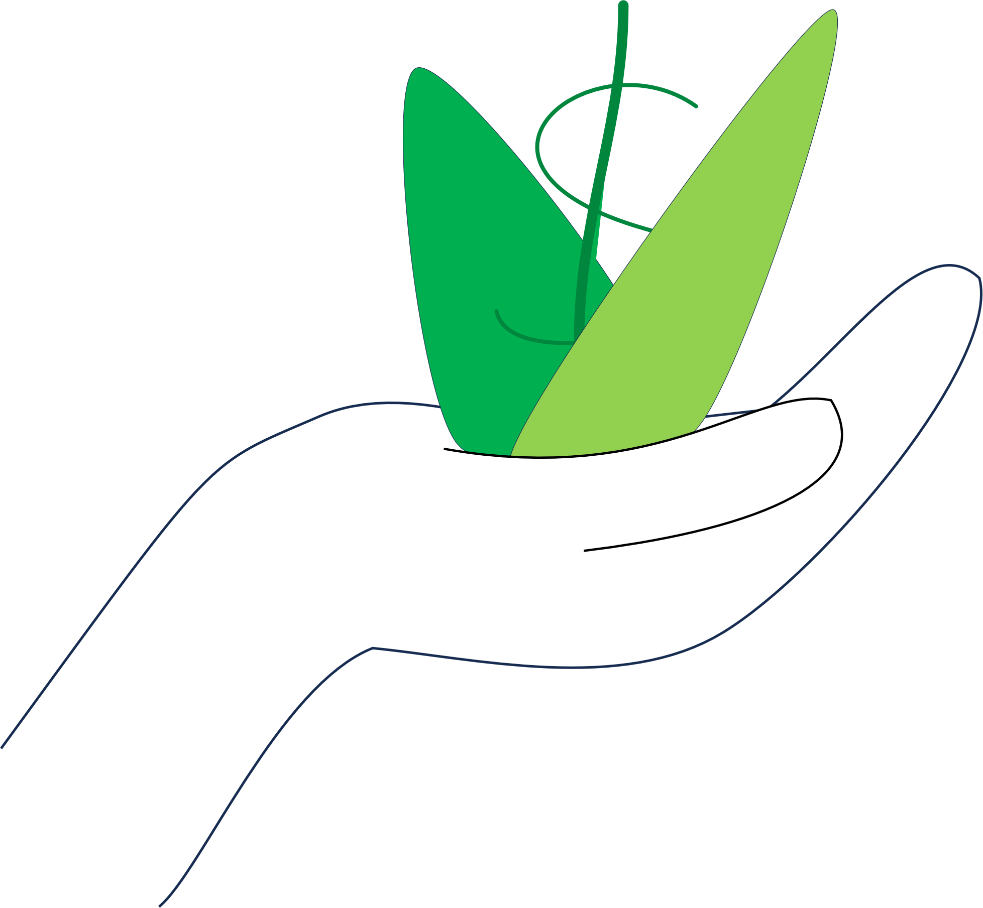 Make a Donation to Support our Work!