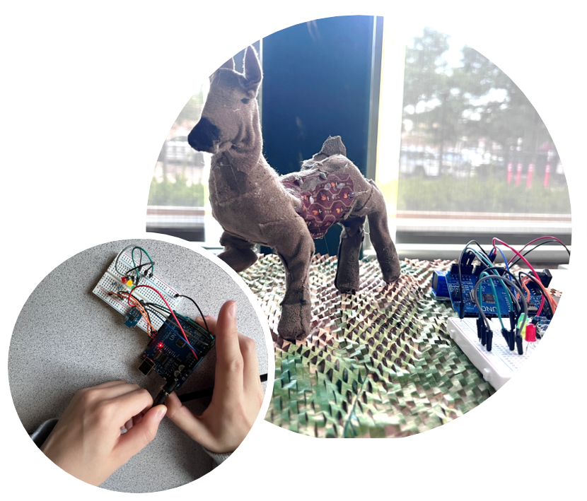 Project-Based Learning