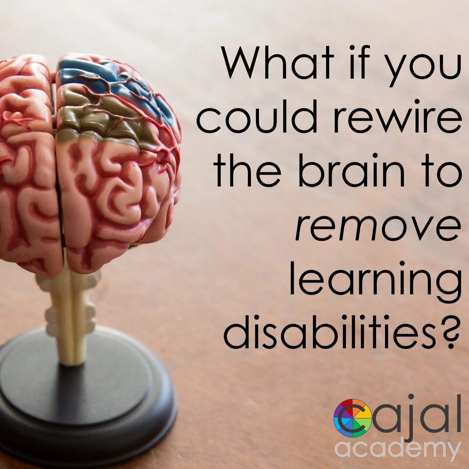 Ground-breaking interventions reducing learning, social-emotional & executive function disabilities