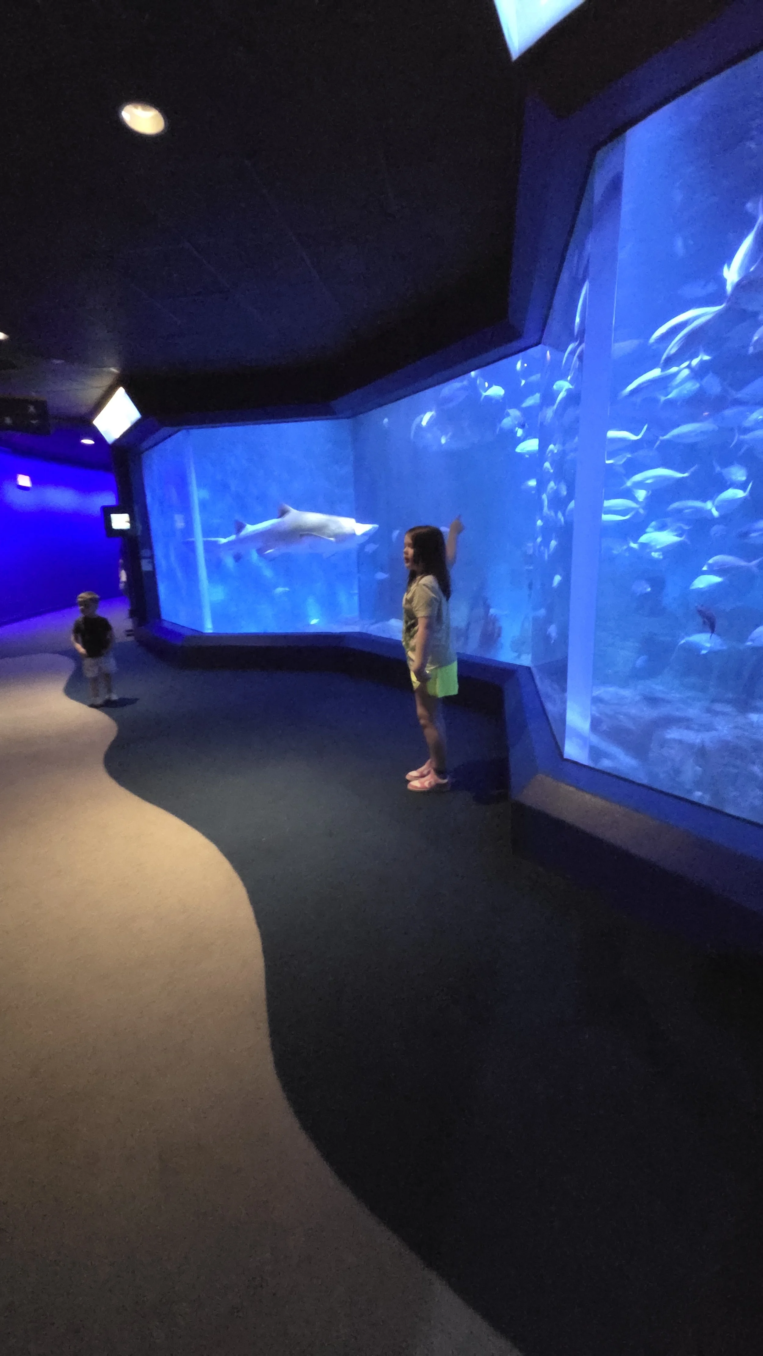 20250725_110839.jpg